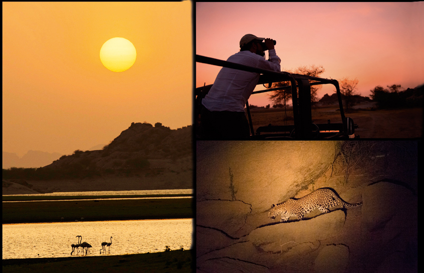 13Jawai-Leopard-Camp1