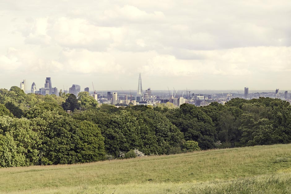 The stunning view from Parliament Hill 2016_05_24_VD_Hampstead_0866