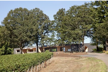Sokol Blosser winery (above) specialises in Pinot Noir and Pinot Gris sbw_MG_4739_F2-jb-e1387814855756