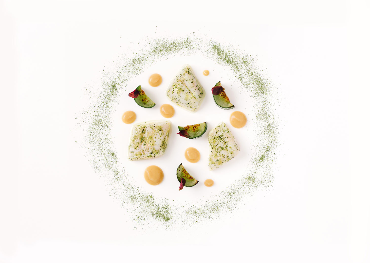 turbot-cucumber-sesame