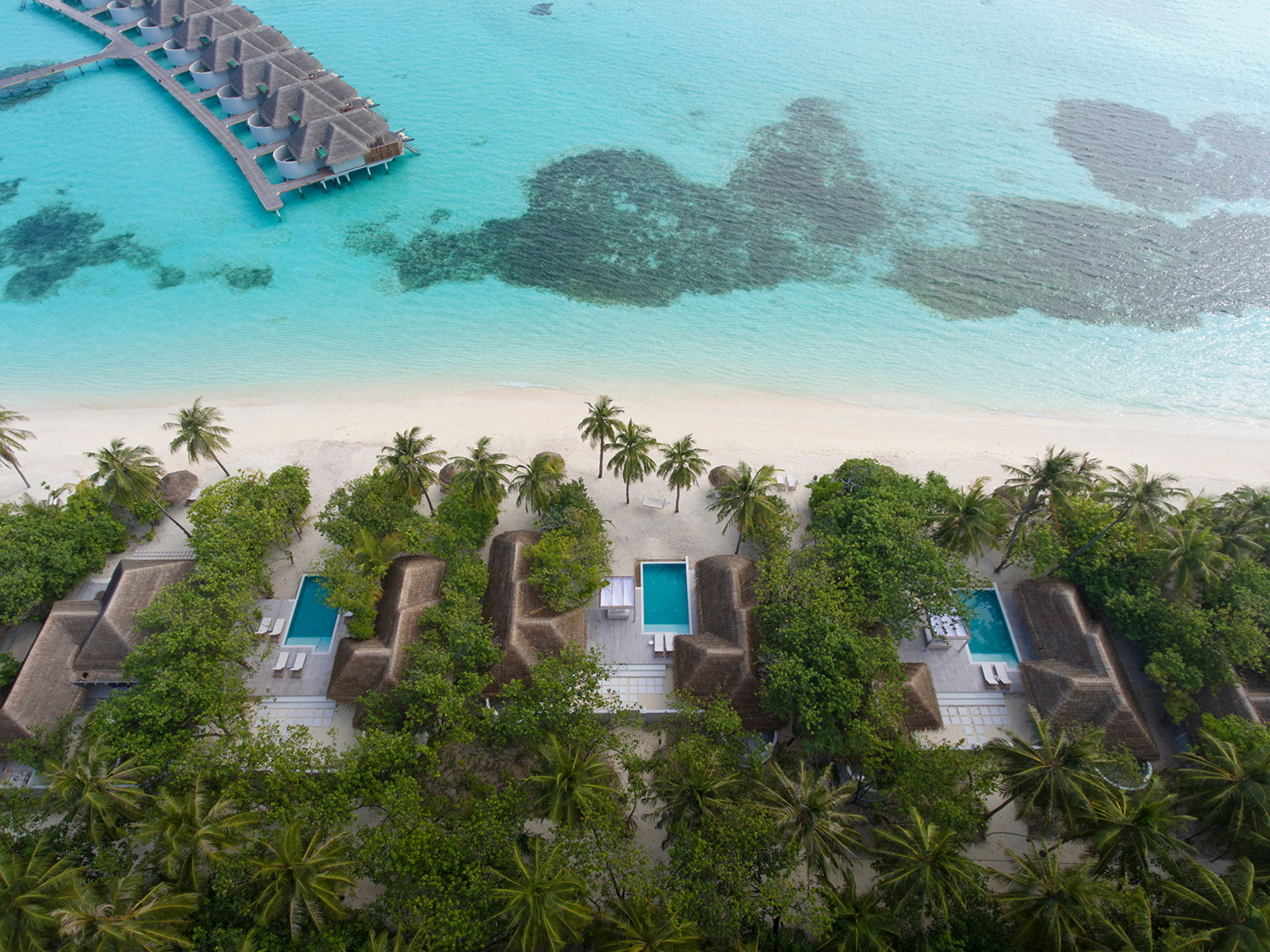 Jan2017_Kanuhura_2167