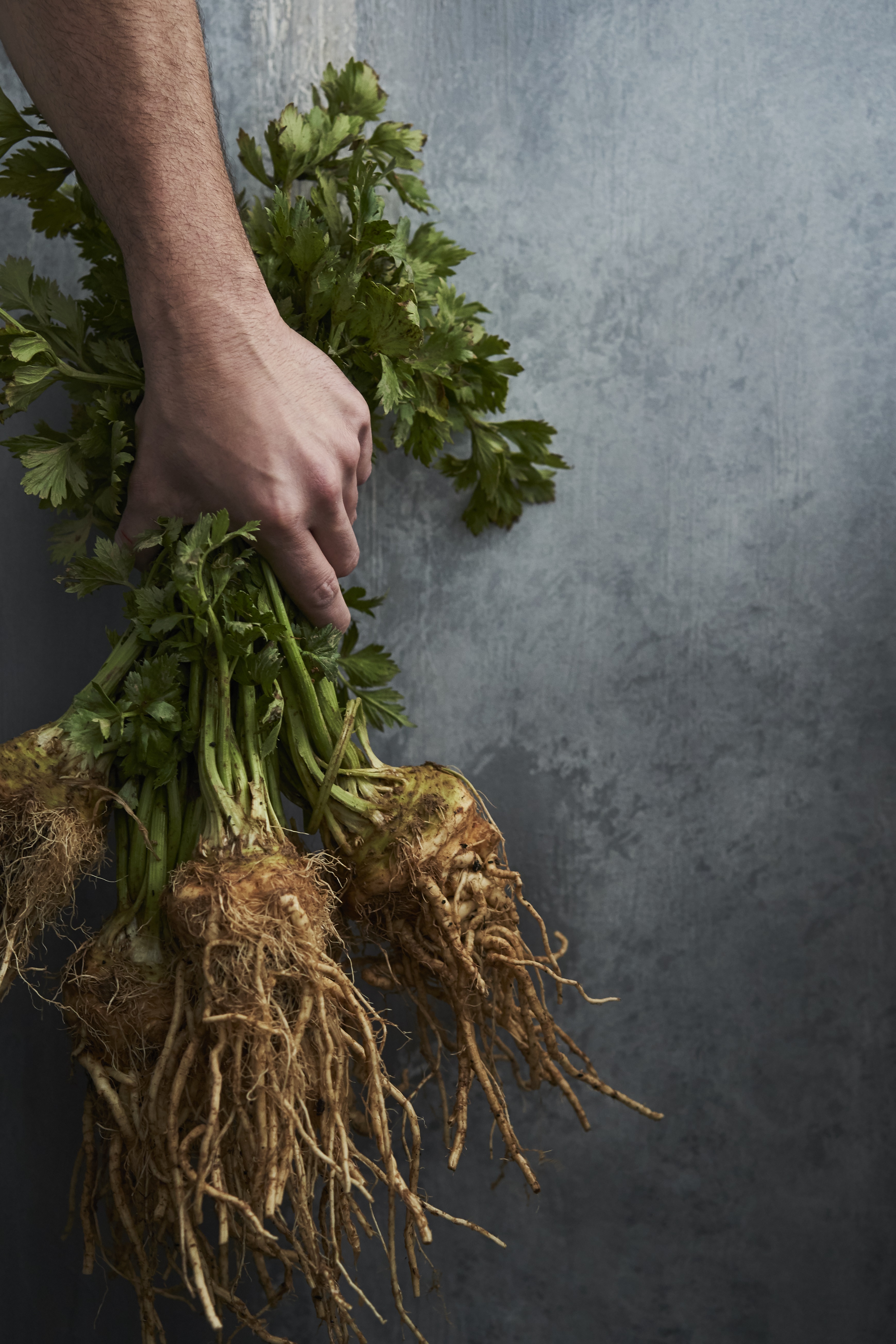 handful of veg