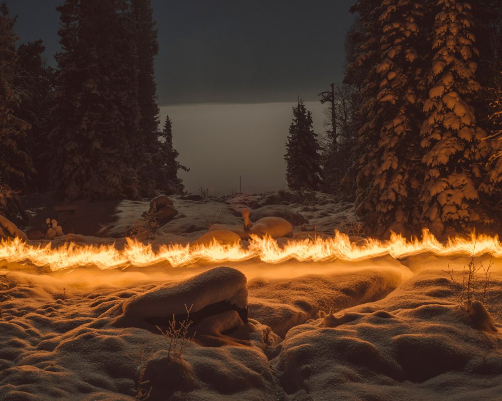 Slash and Burn by Terje Abusda Slash and Burn by Terje Abusda