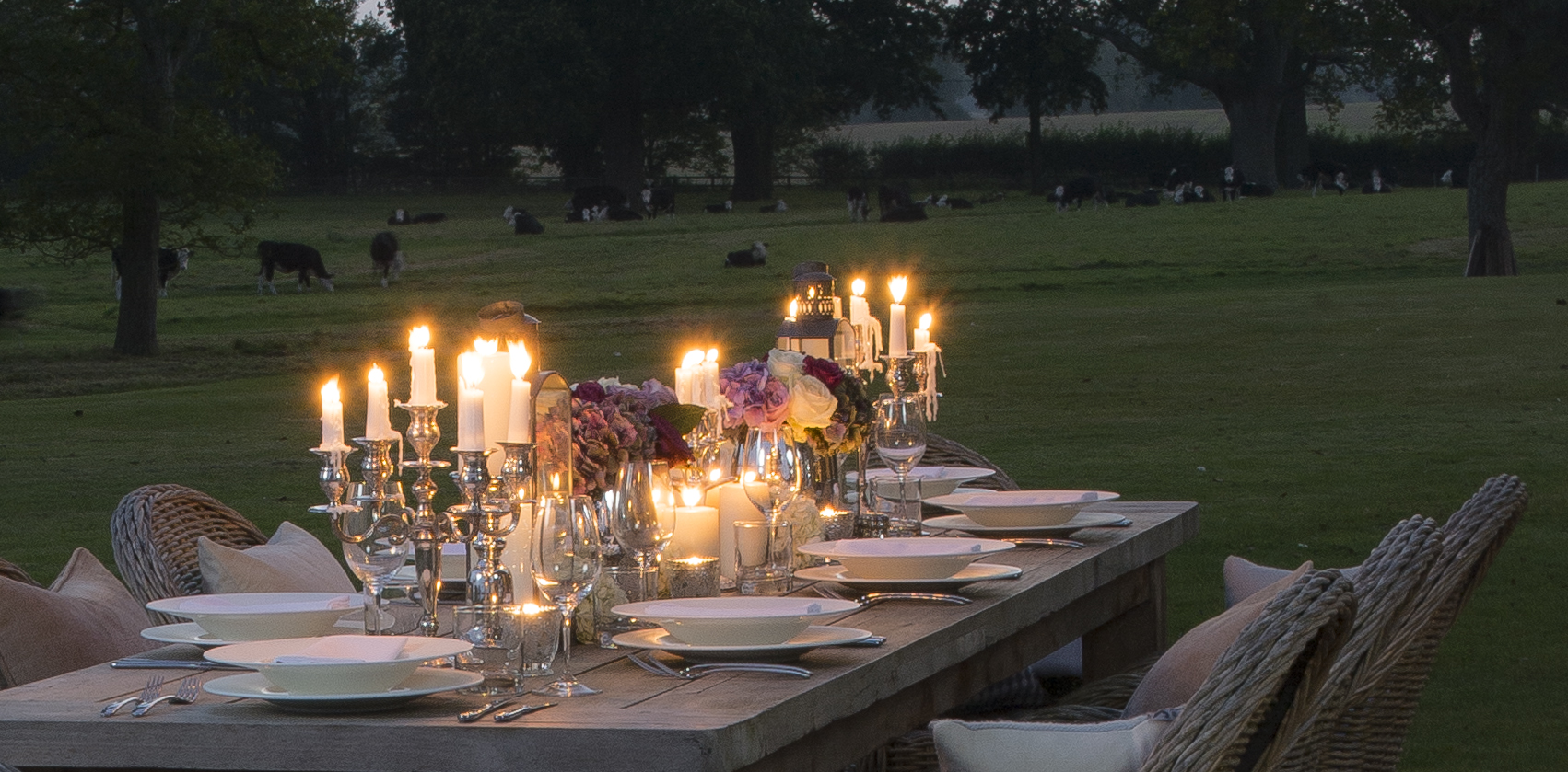 Wilderness Reserve at night