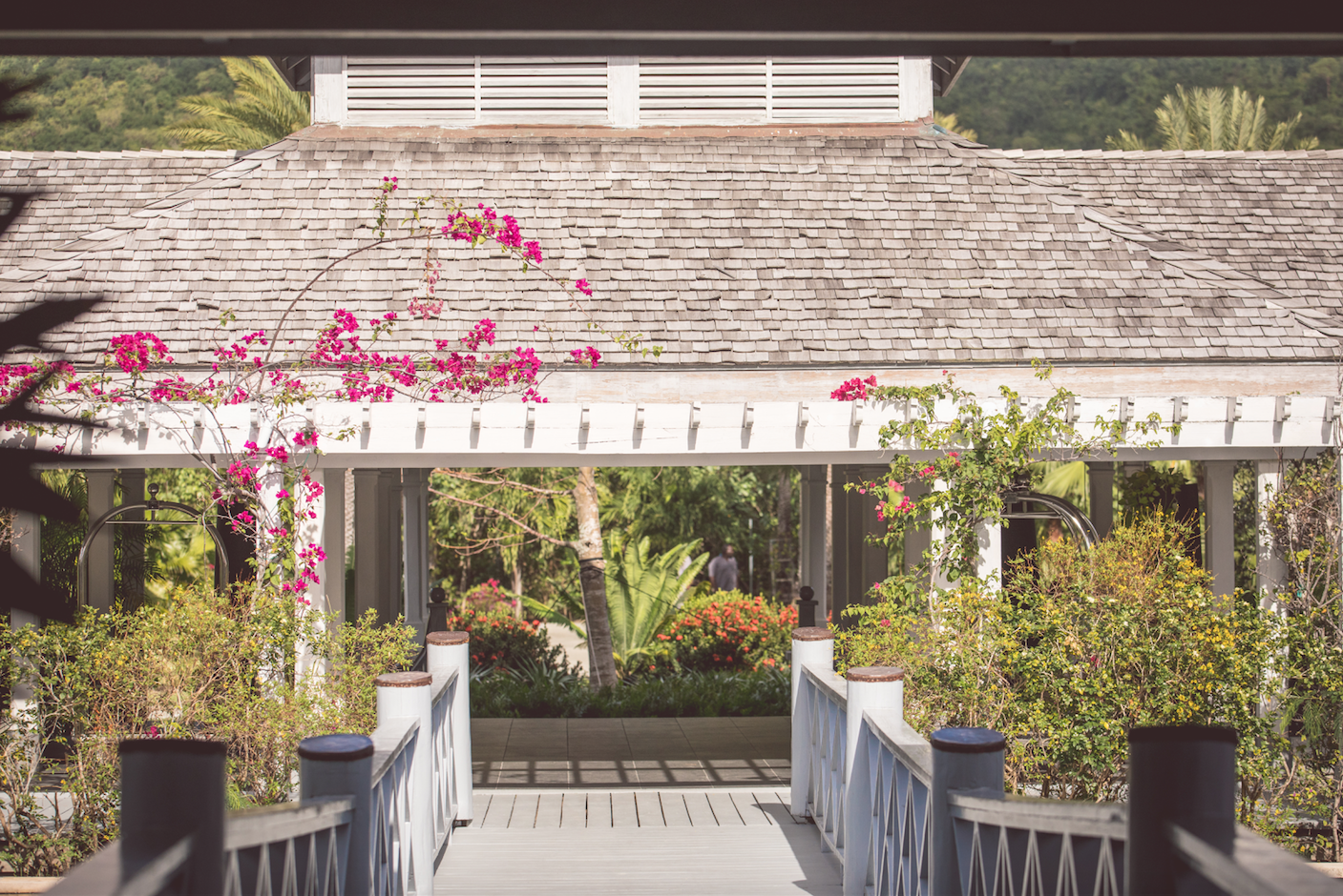 Garden at Carlisle Bay