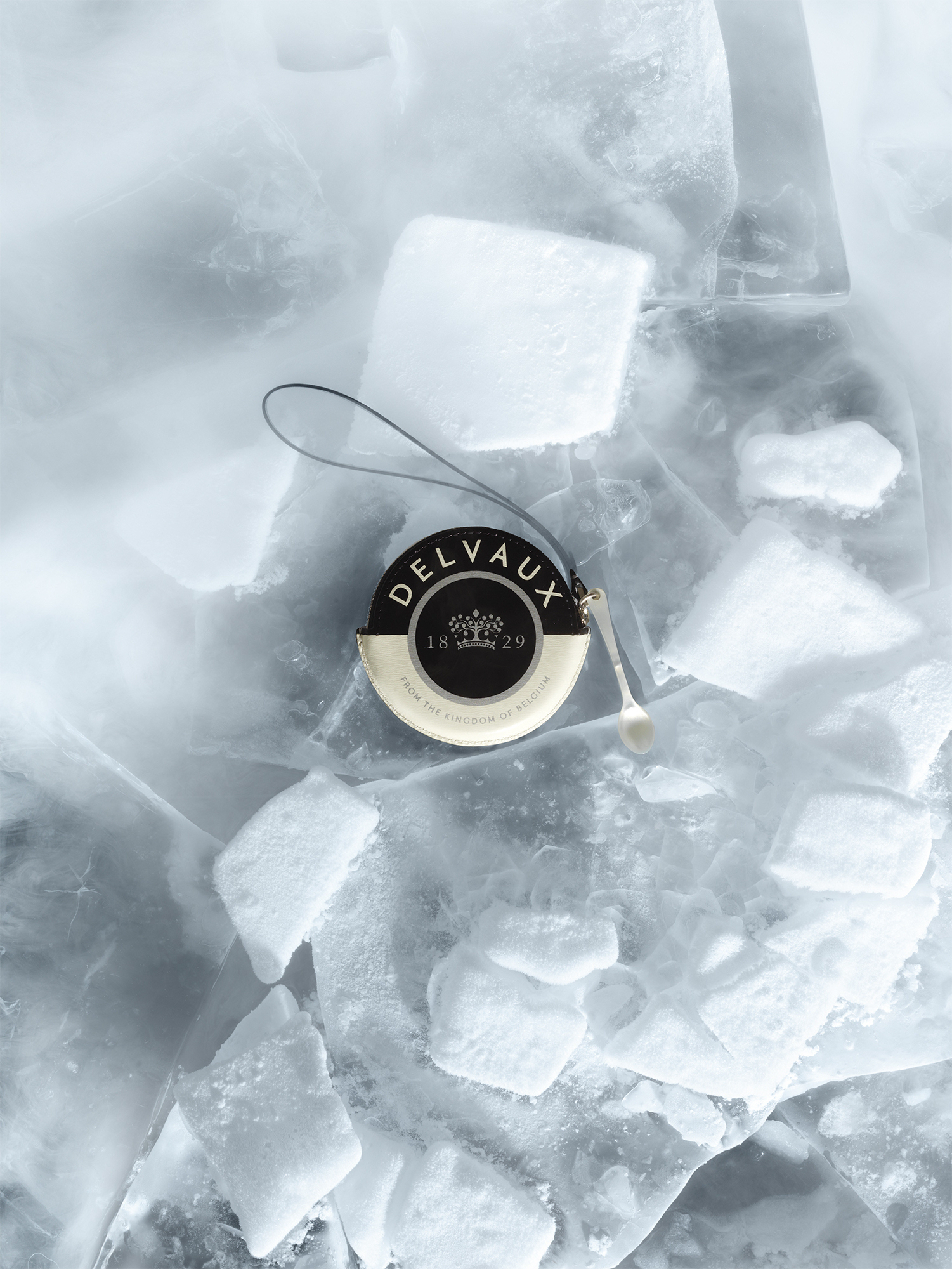 Delvaux Caviar bag