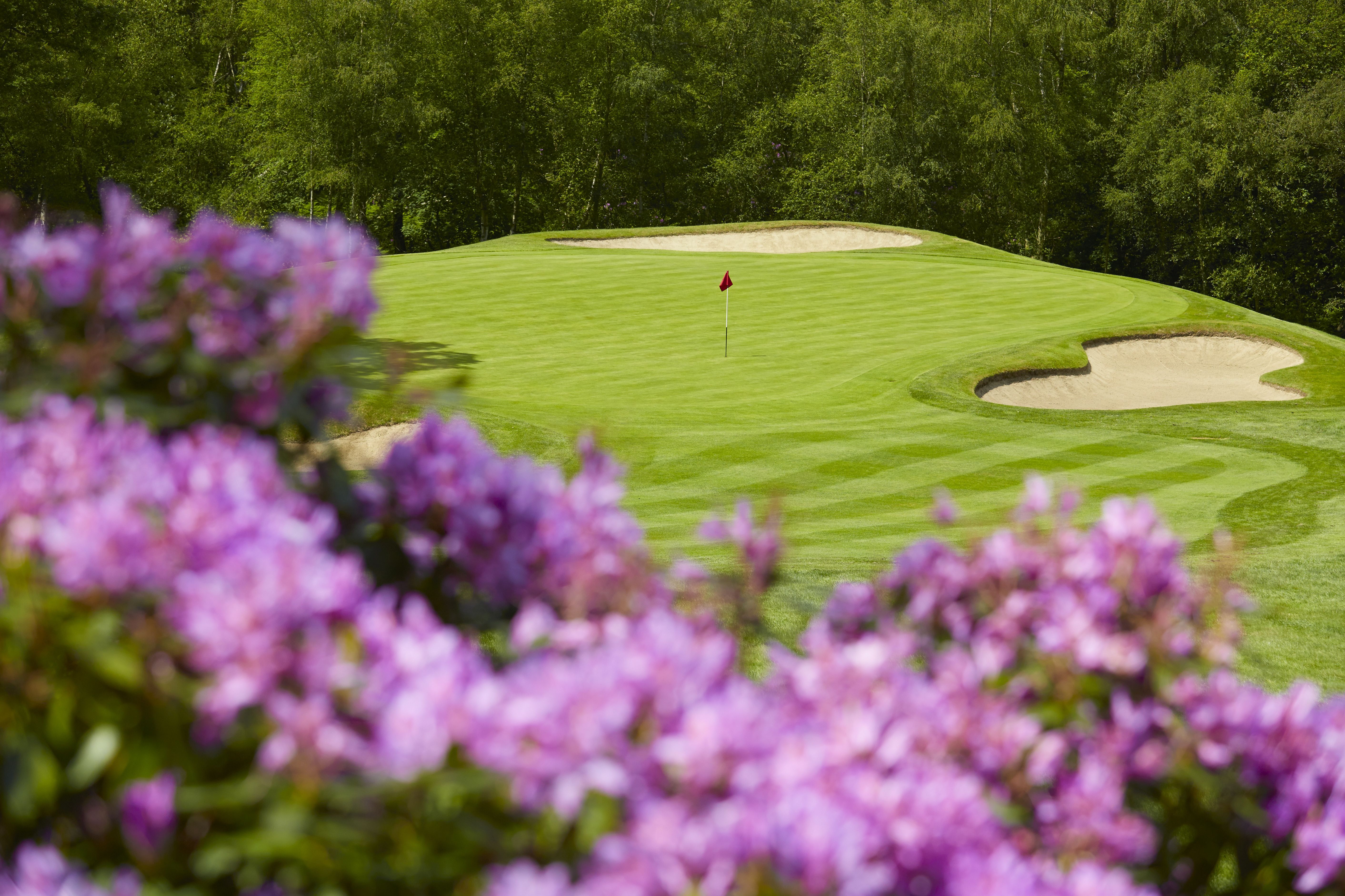 Wentworth Charity Cricket Day