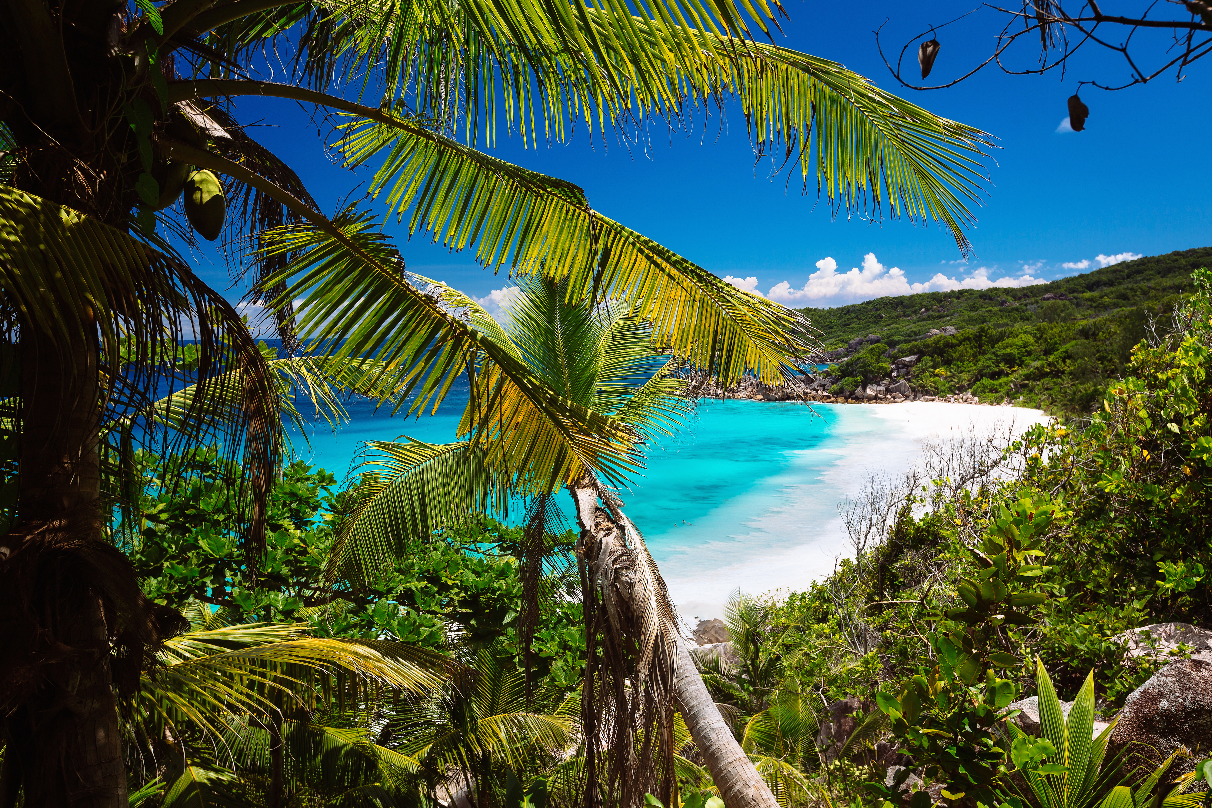 Escape to paradise: The tranquil tropics of the Seychelles