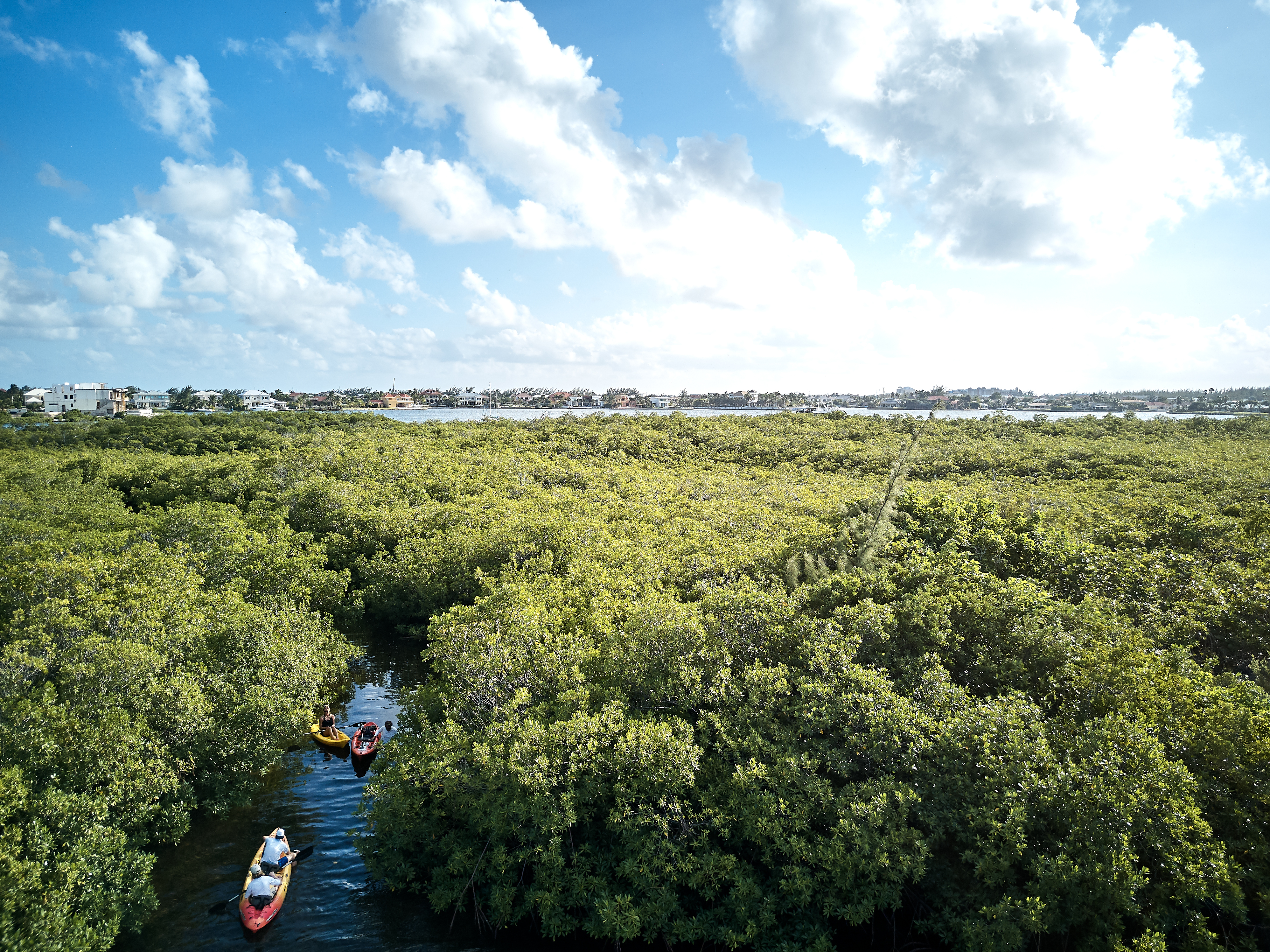 Caribbean dream: Nature meets luxury in the Cayman Islands