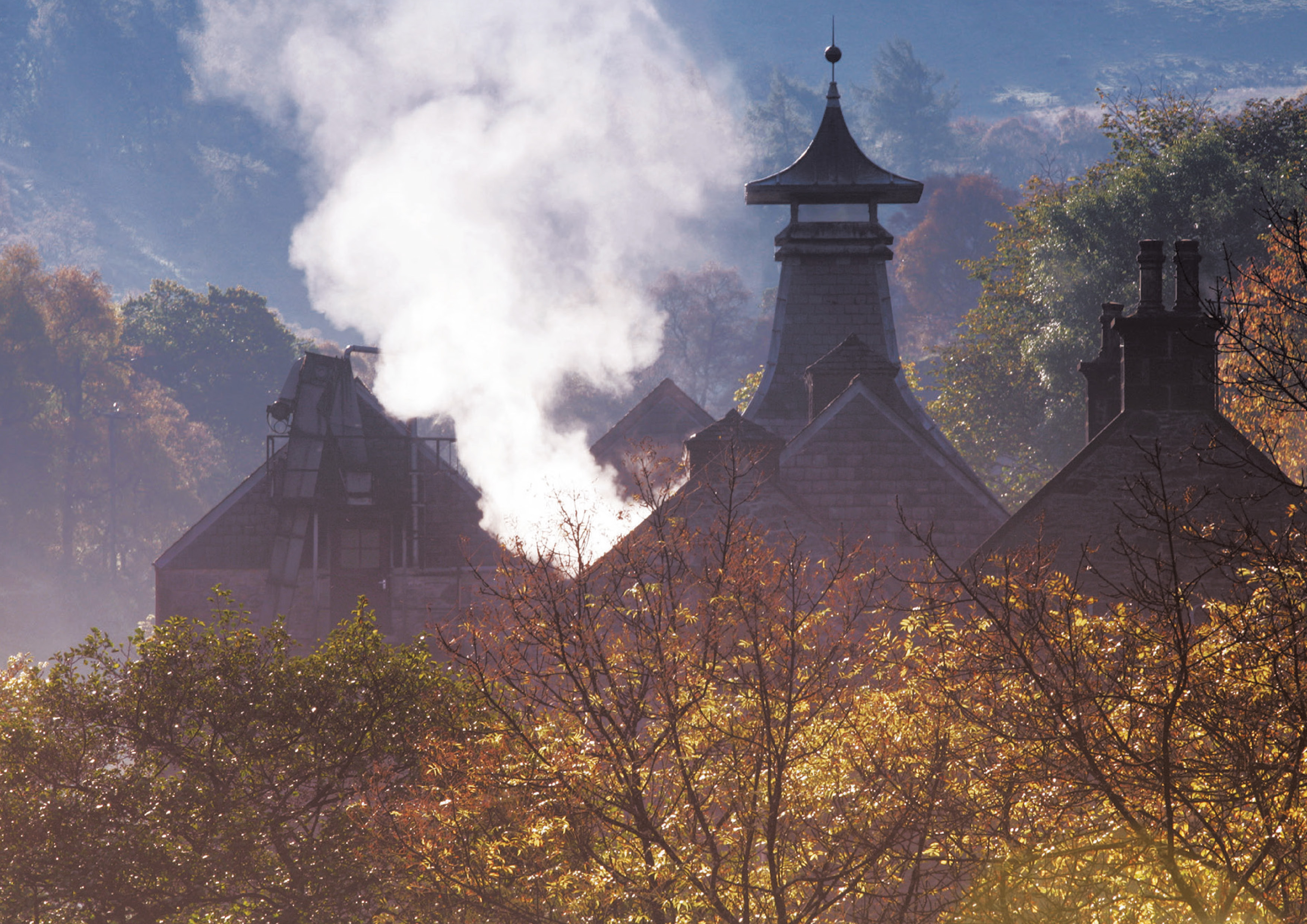 Special measures: Inside Diageo’s Casks of Distinction