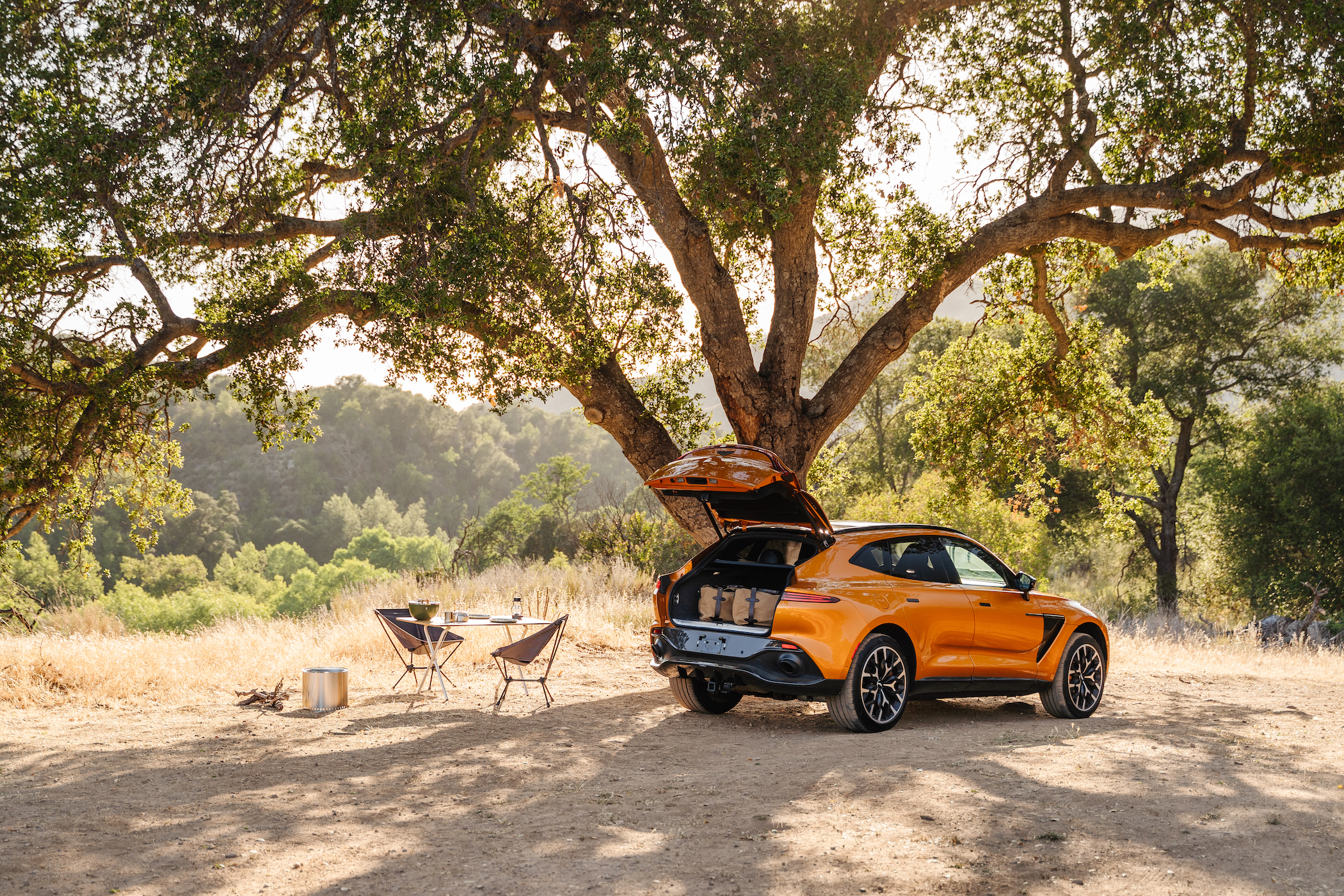 Power play: A scenic Californian drive with the Aston Martin DBX