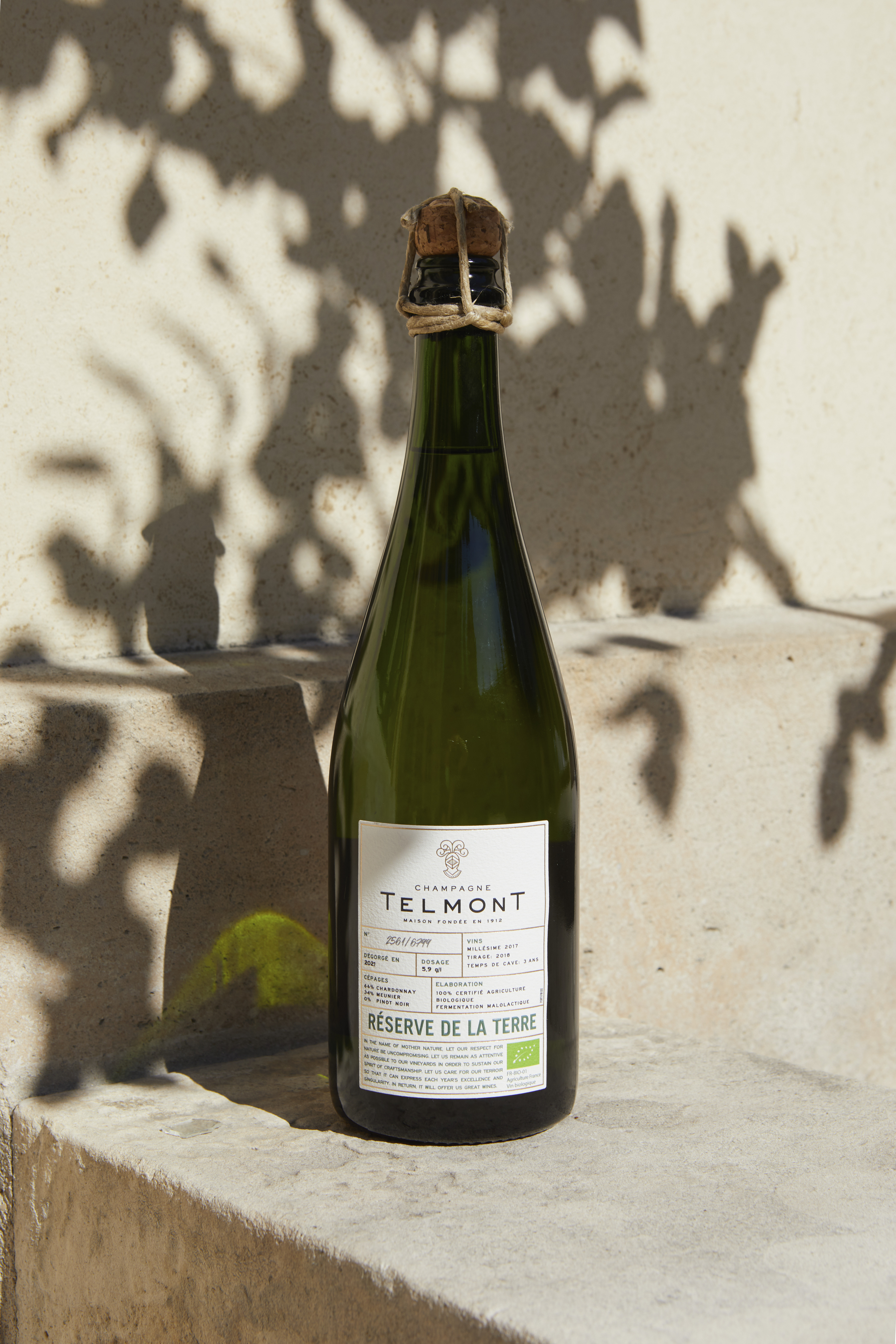 telmont tasting