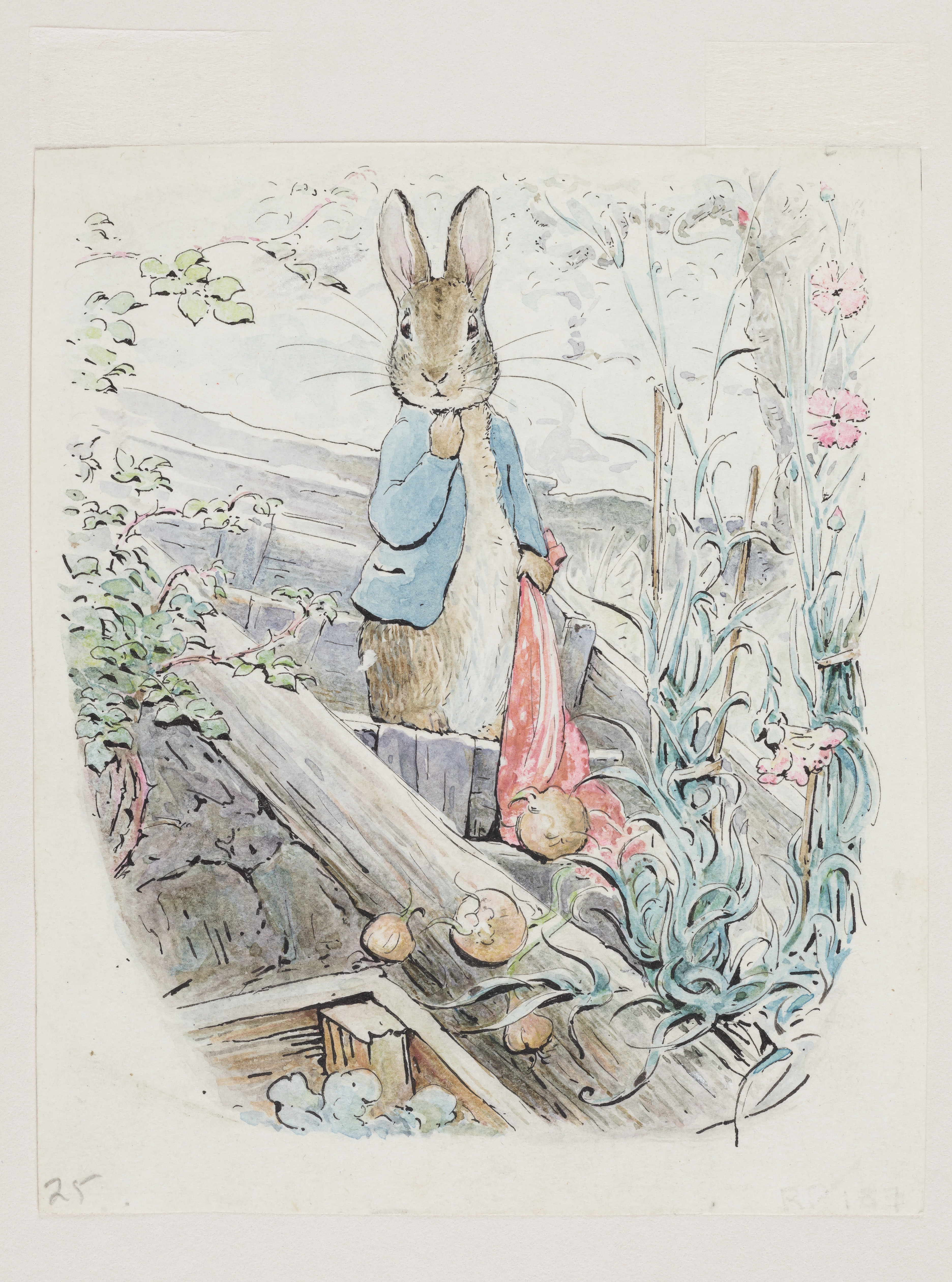 Beatrix potter