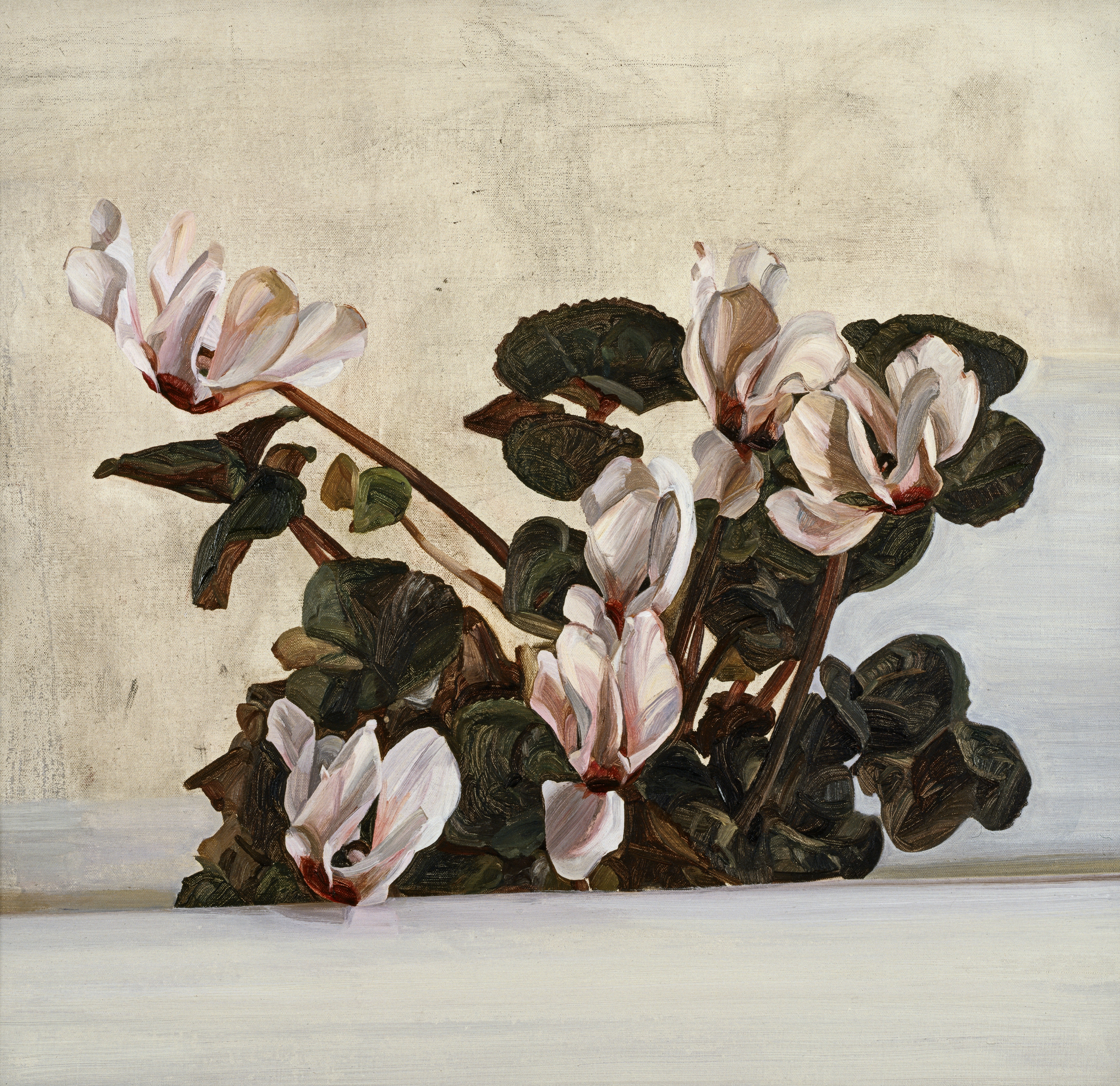 Cyclamen, 1964 © The Lucian Freud Archive