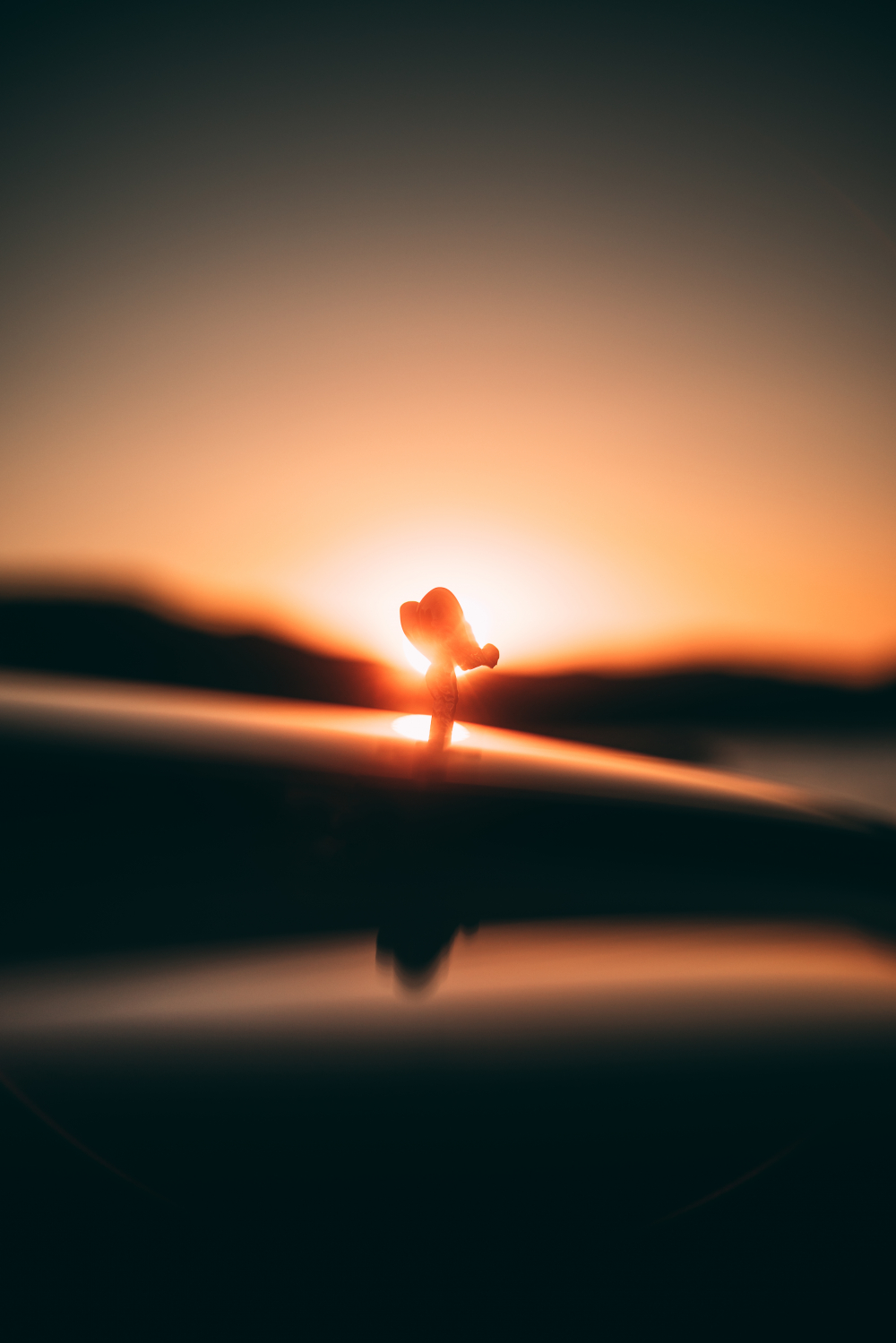 Rolls-Royce Phantom Experience South of France