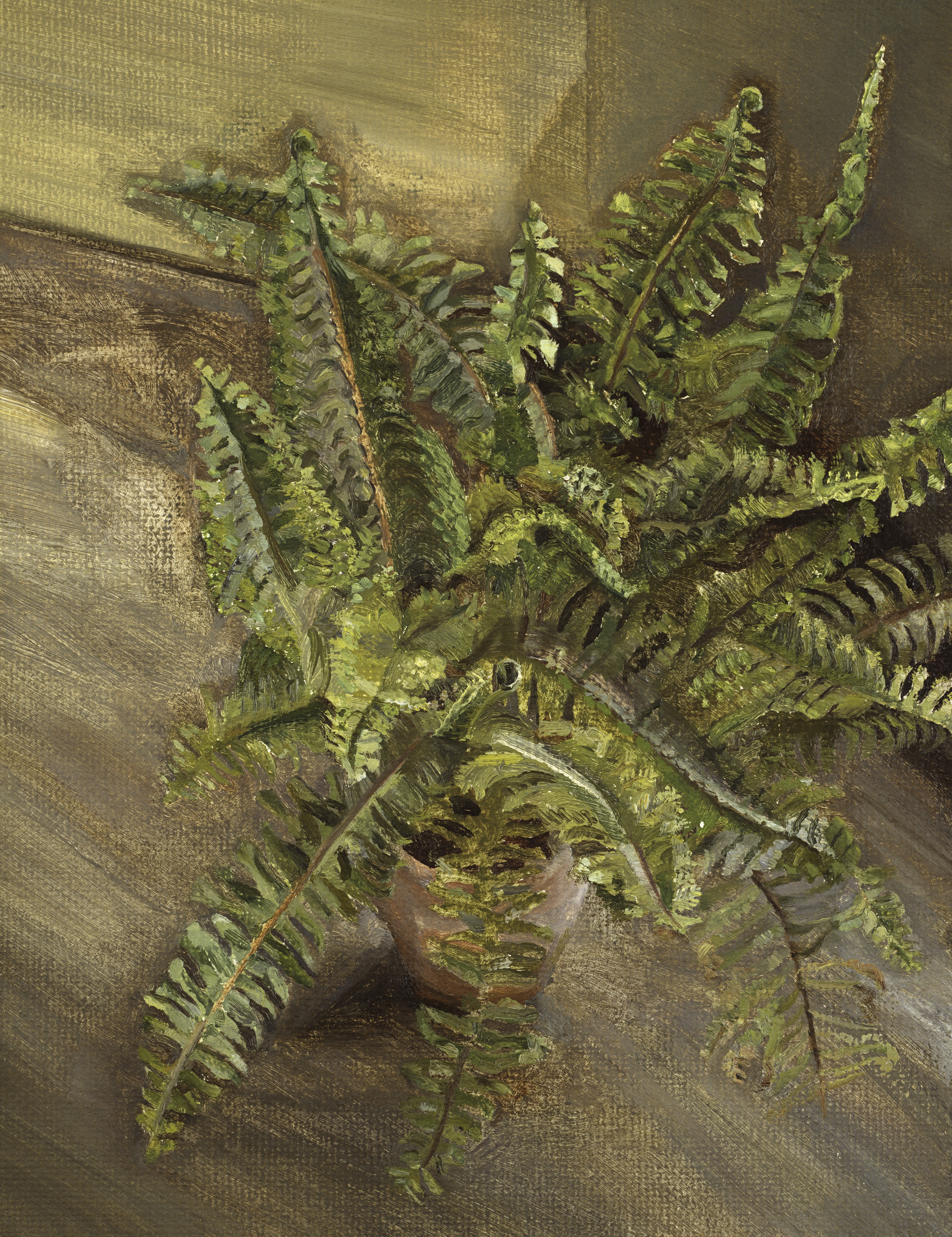 Small Fern, 1967, © The Lucian Freud Archive