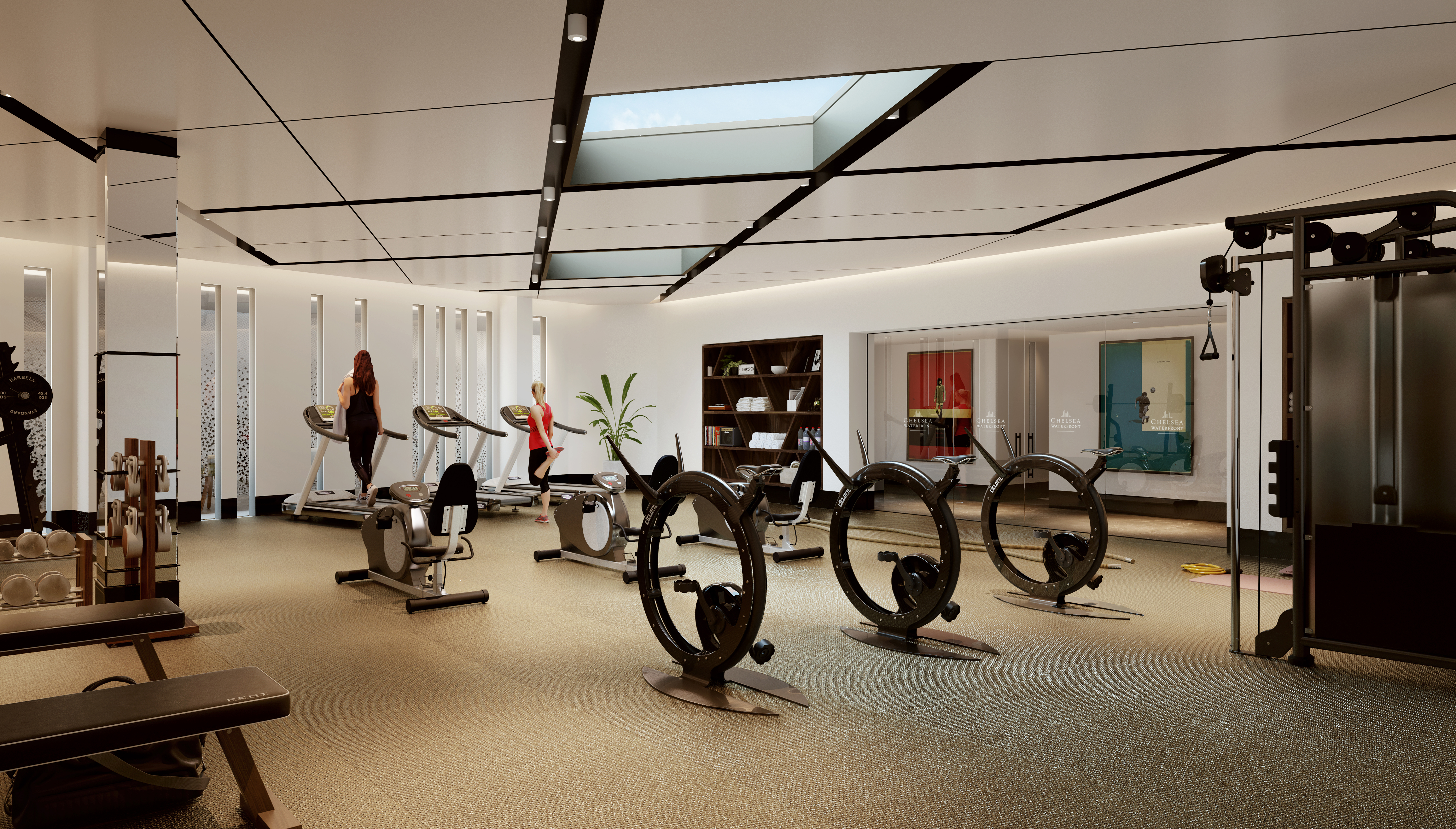 The Gym