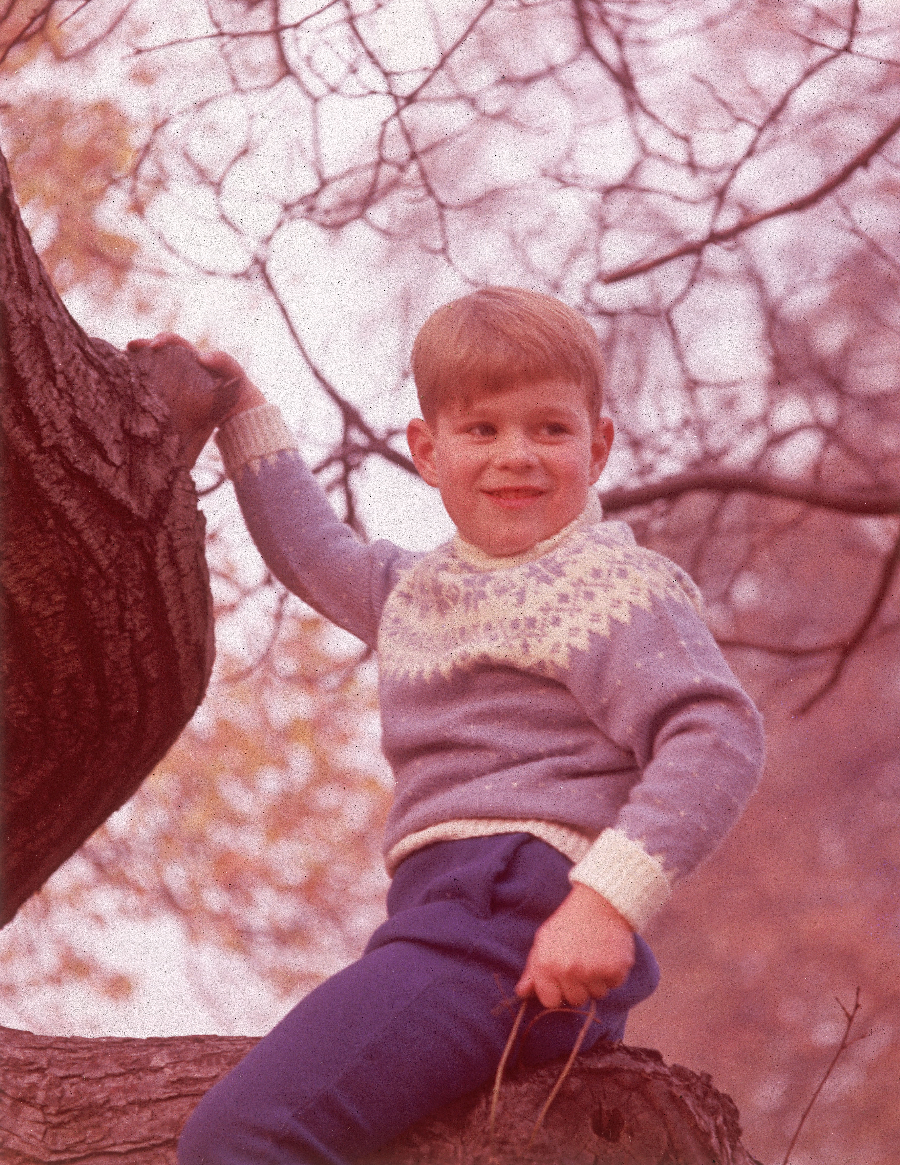 Prince Andrew as a baby