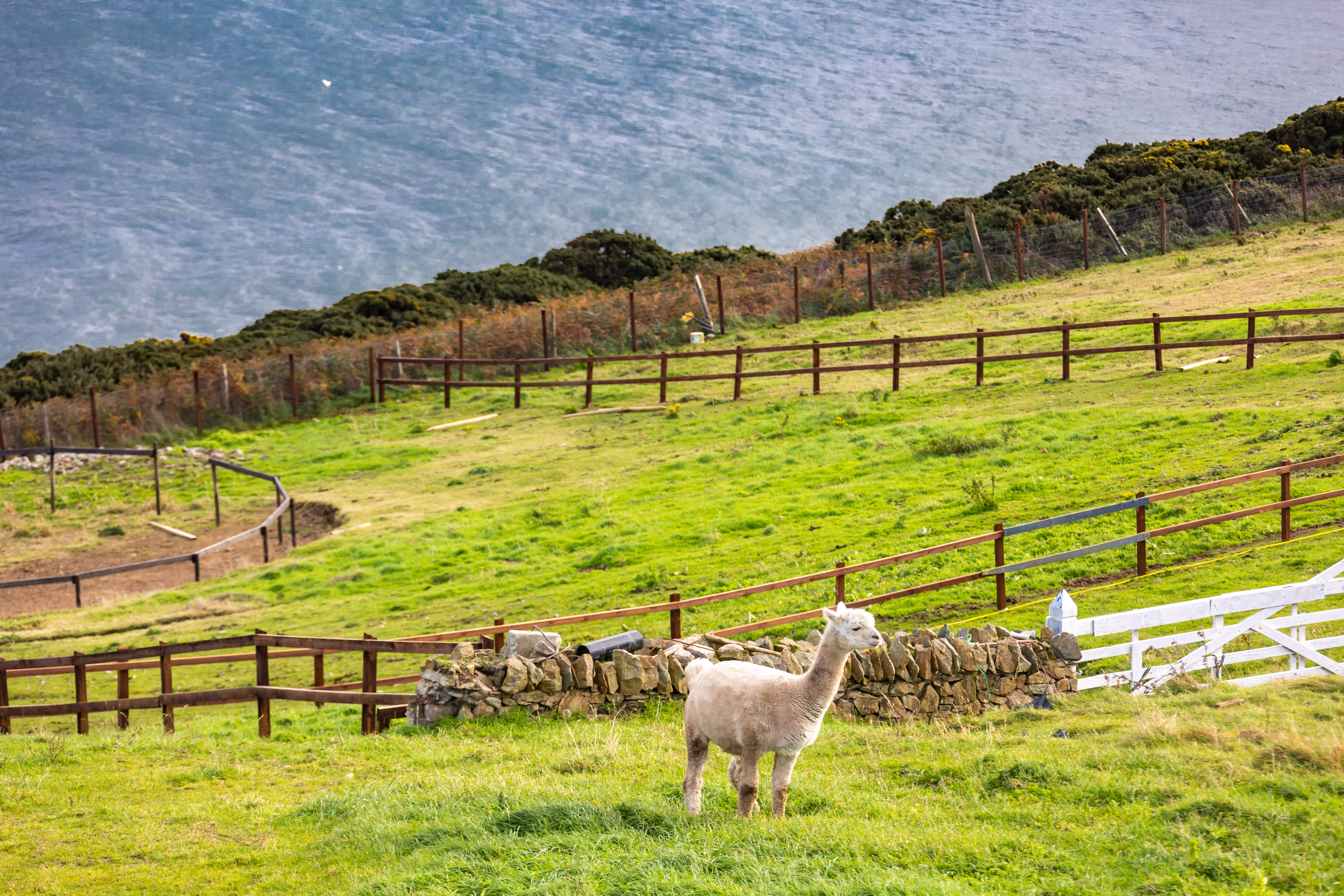 Oceanfront House has views to the Irish Sea