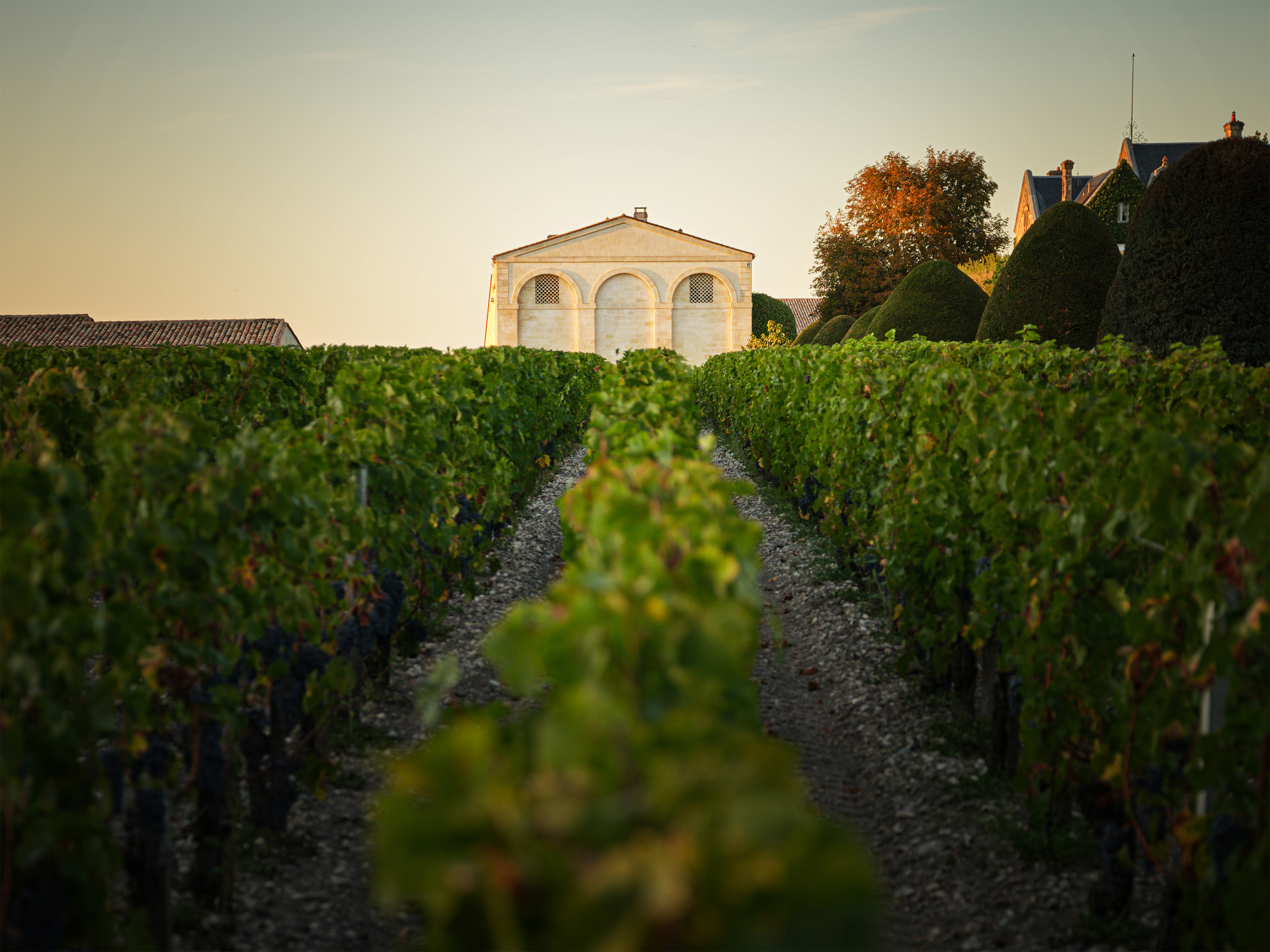 Château Mouton Rotshchild, Front Wall. Crédit: Pierre Grenet - Astoria Studio