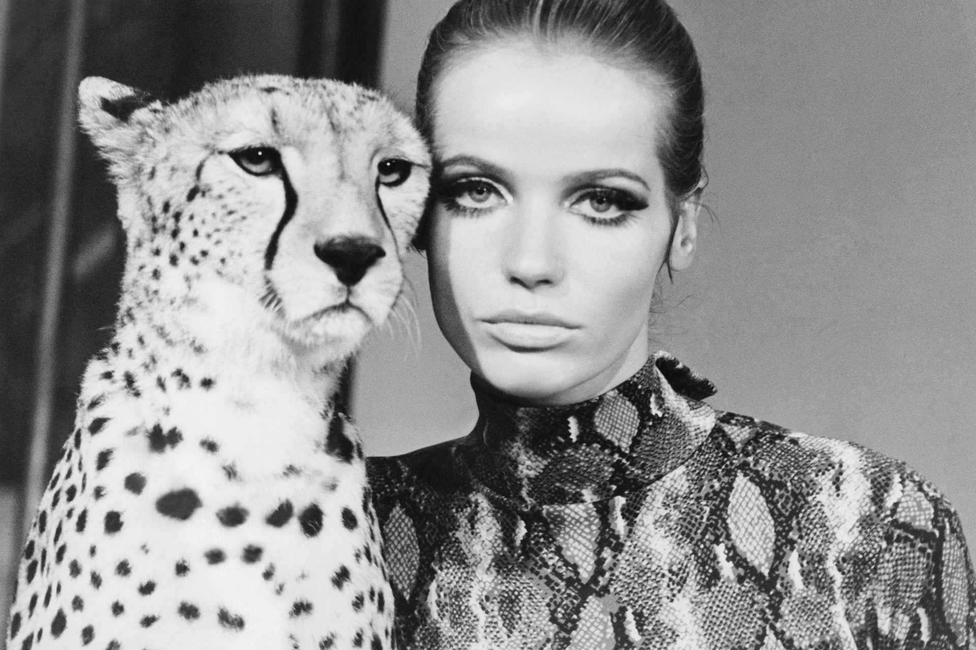Franco Rubartelli, Veruschka, head-to-head with a cheetah, 1967, Vogue 