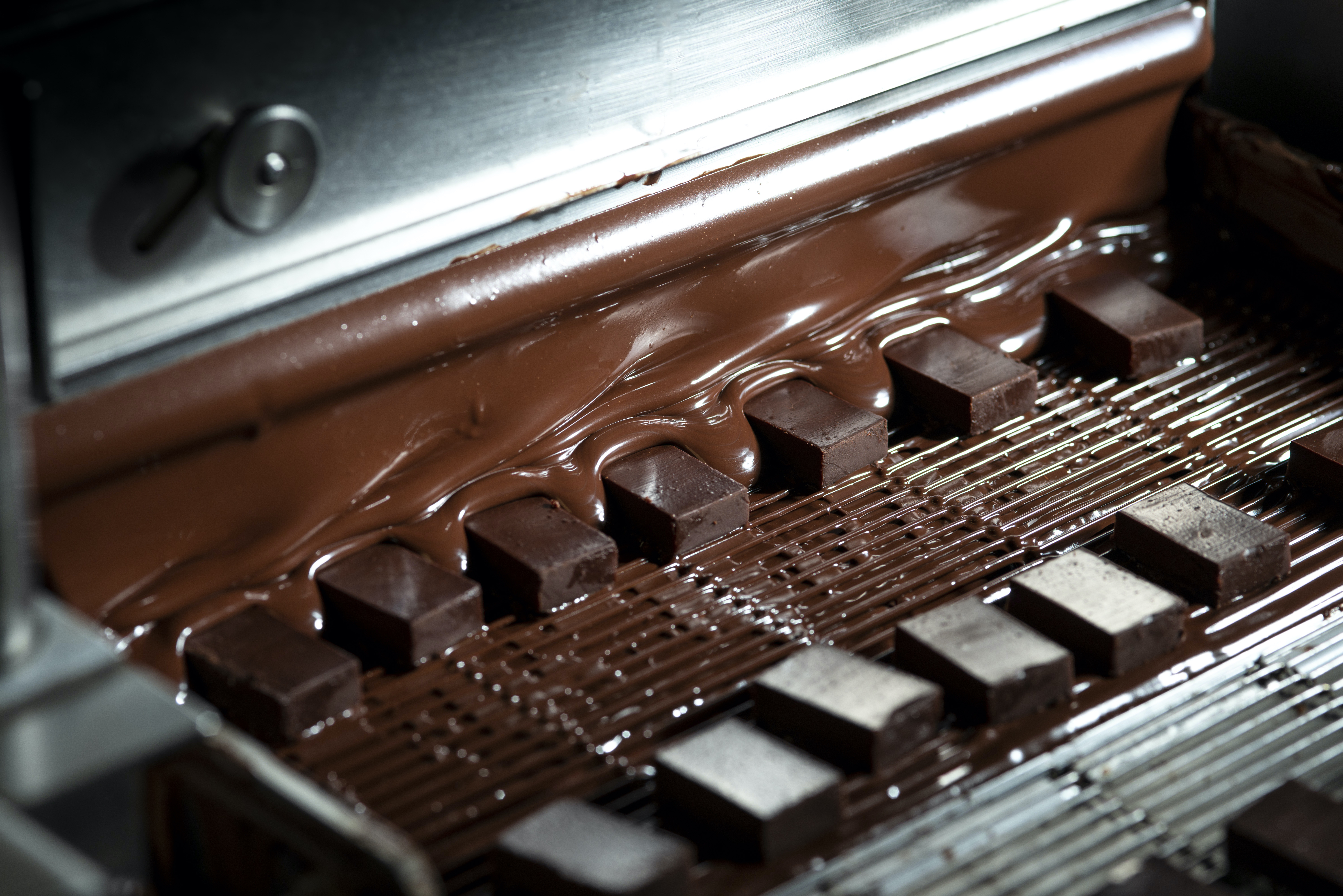 Chocolat Alain Ducasse by Vincent Nageotte