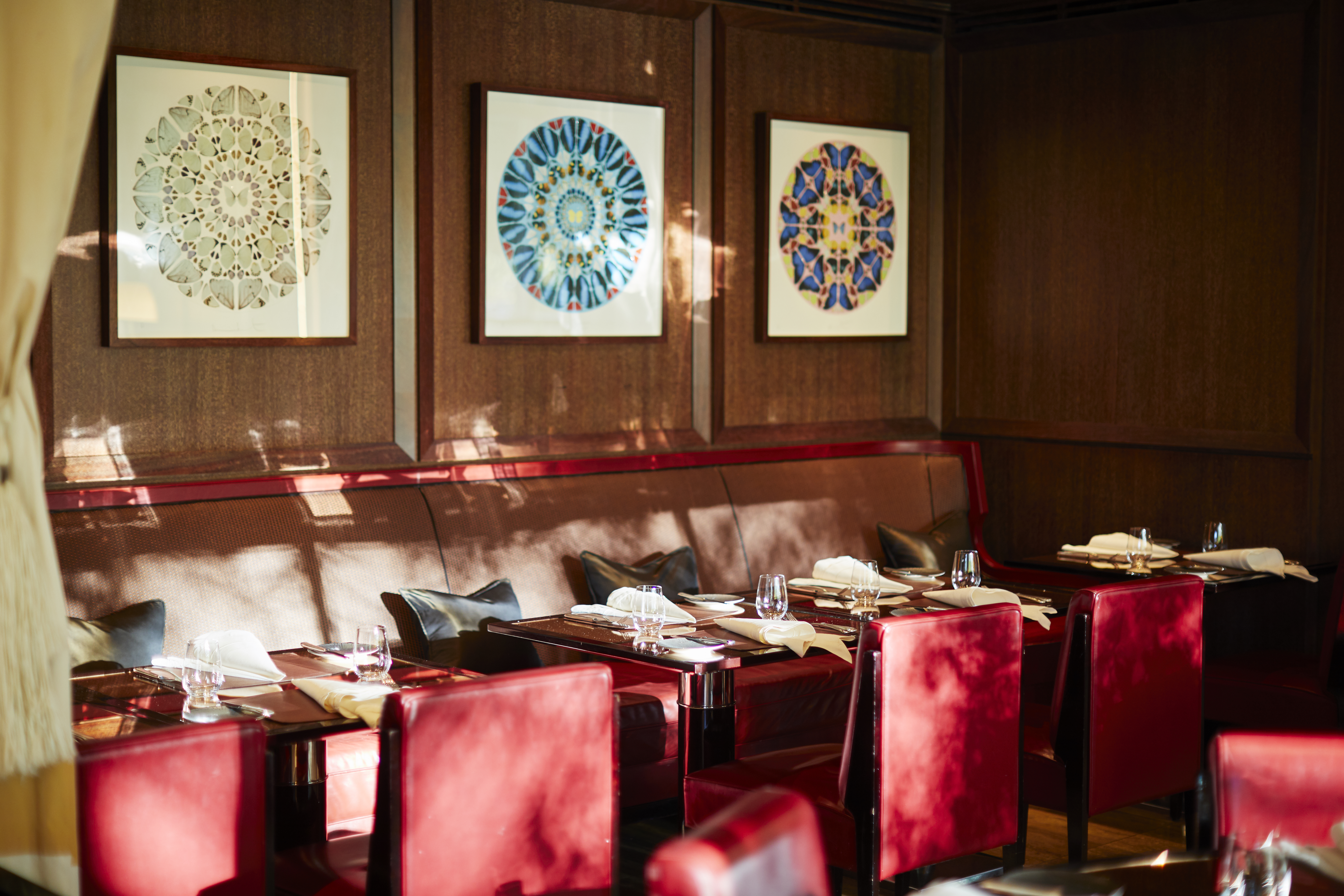 The CUT, at 45 Park Lane