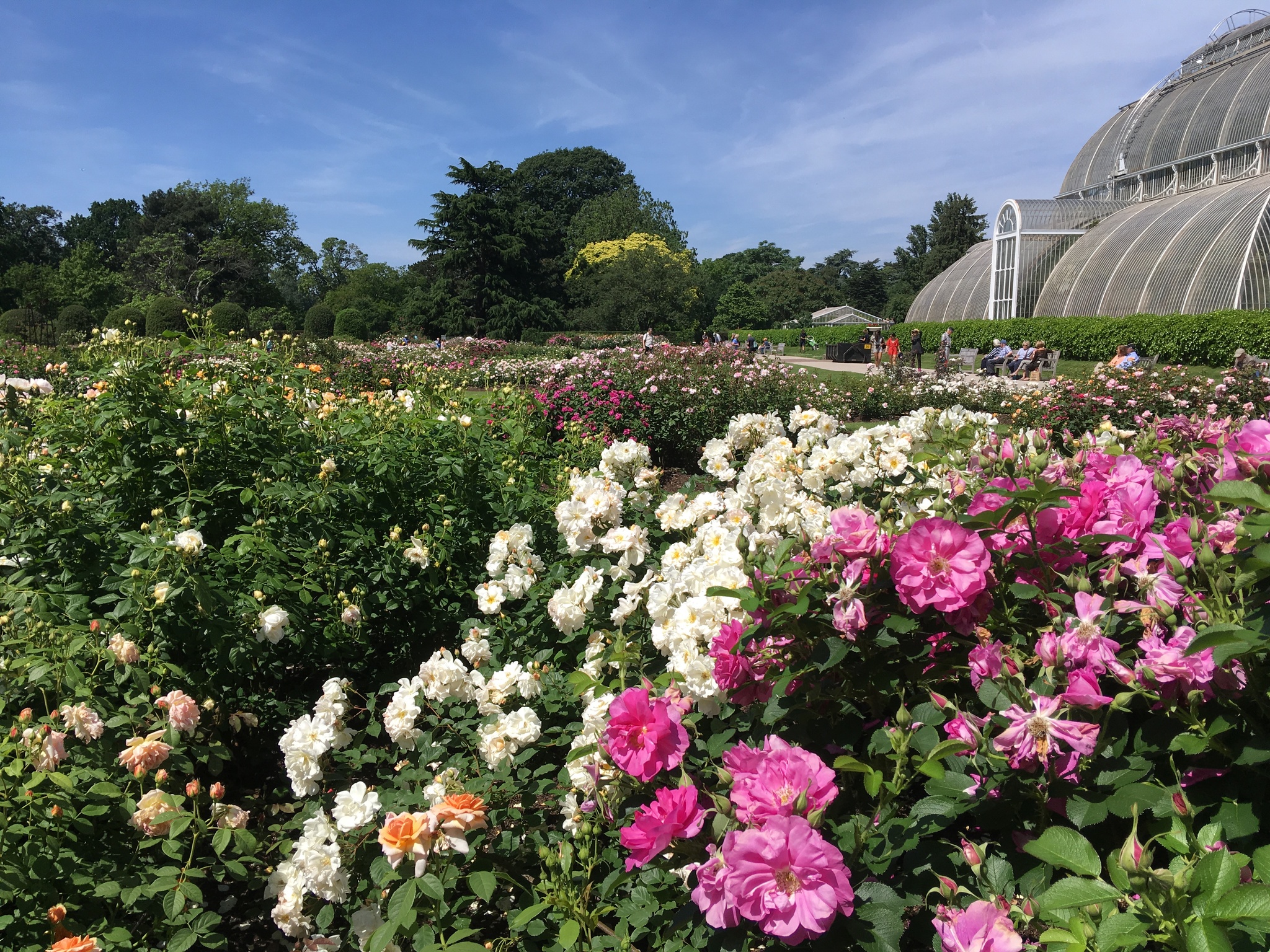 Best British Gardens to Visit July 2023