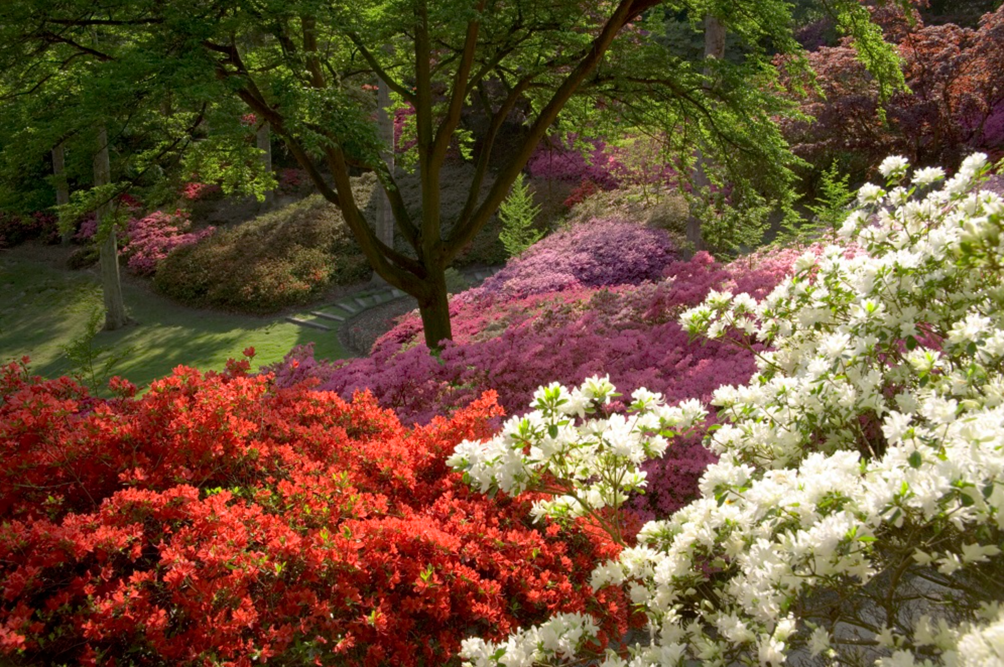 Best British Gardens to Visit July 2023
