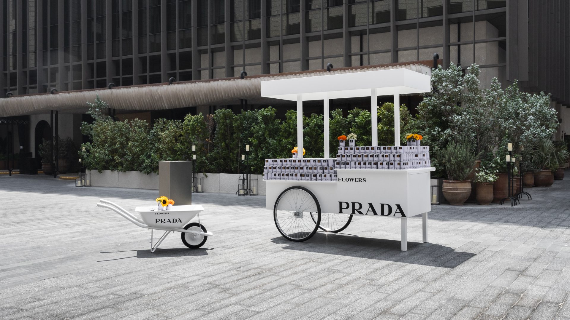 Prada Floral Campaign autumn winter - Dubai flower kiosk