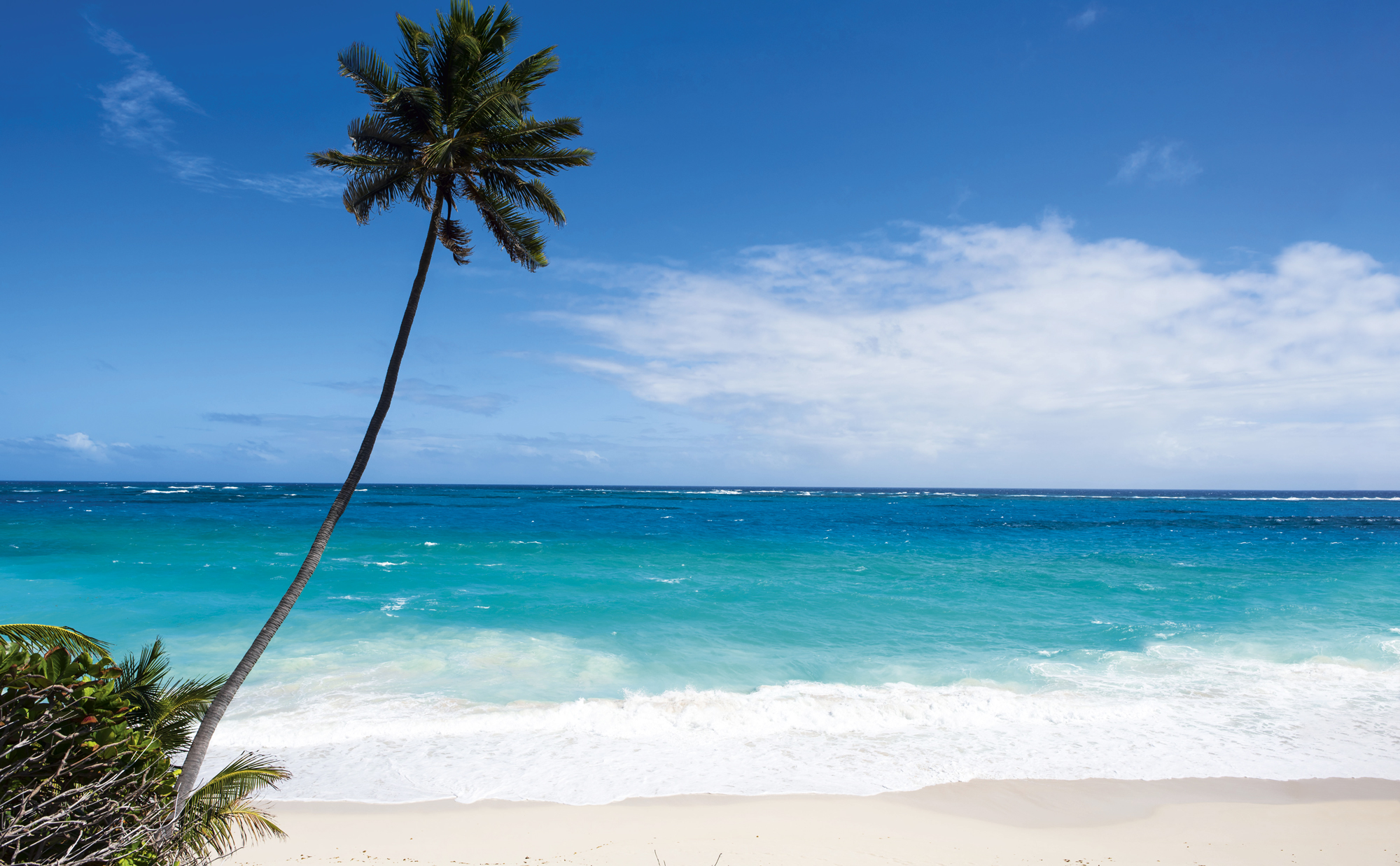 Vacation Relocation Barbados - South Coast