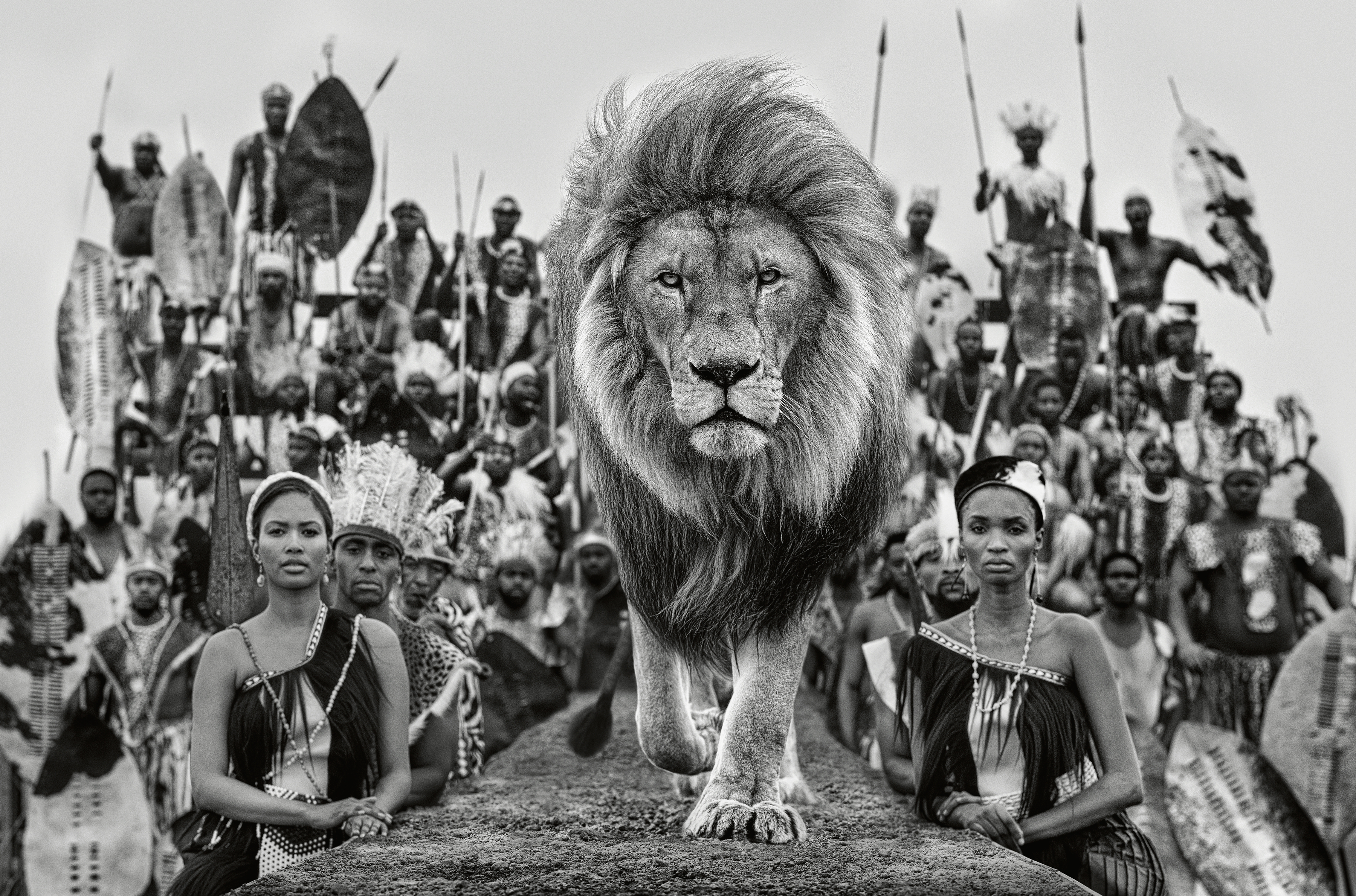 David Yarrow Photographer - Catwalk