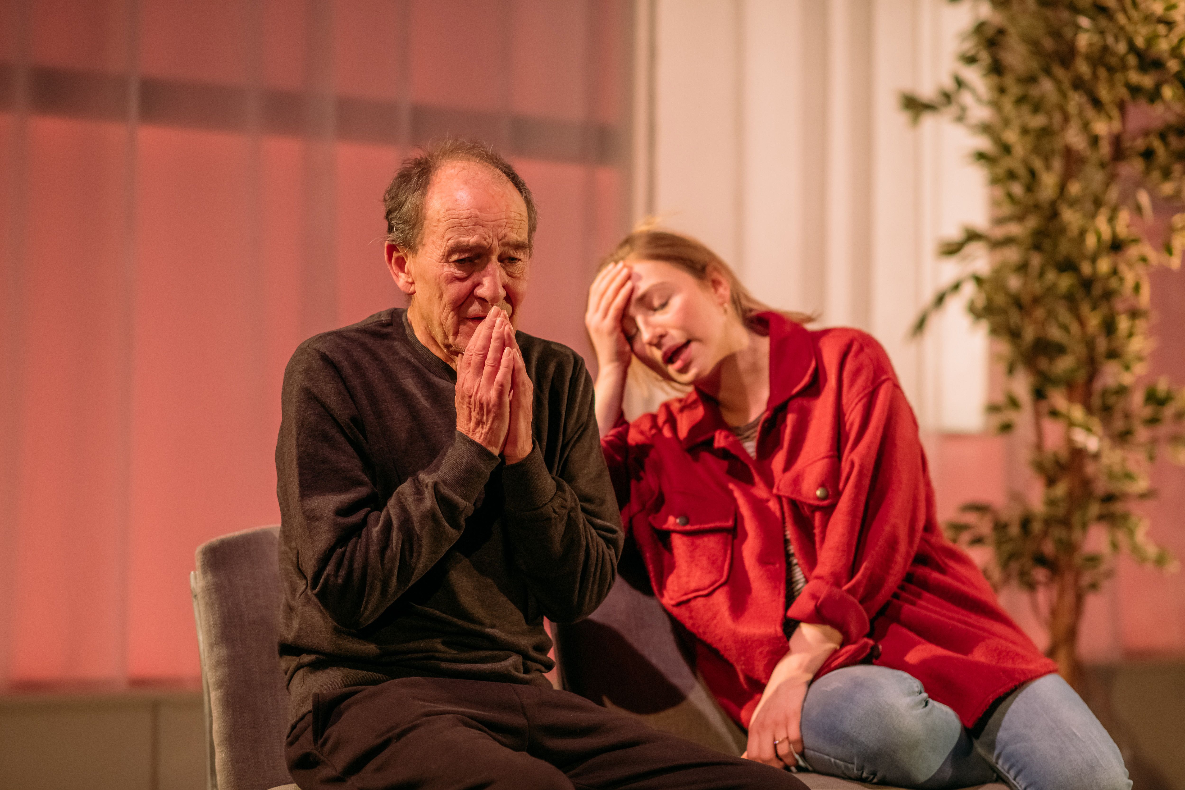 Cyprus Avenue at the Pavilion Theatre - David Hayman