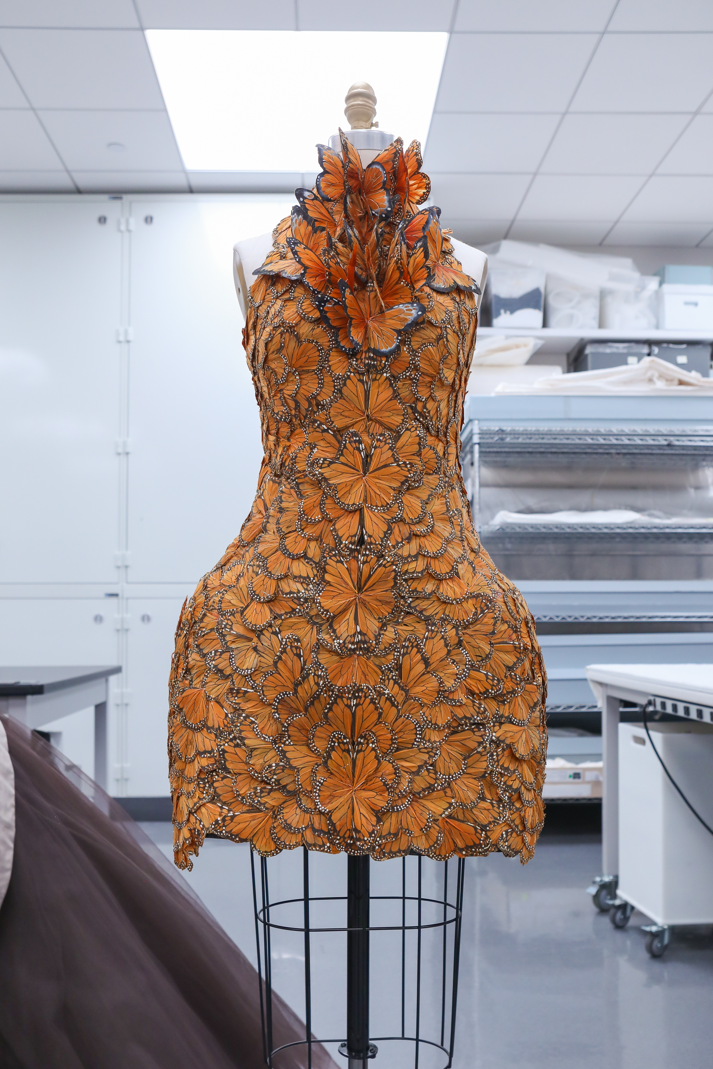 Sleeping Beauties: Reawakening Fashion – The Metropolitan Museum of Art Best Fashion Exhibitions opening in 2024 - Sleeping Beauties: Reawakening Fashion – Dress, Alexander McQueen Spring 2011