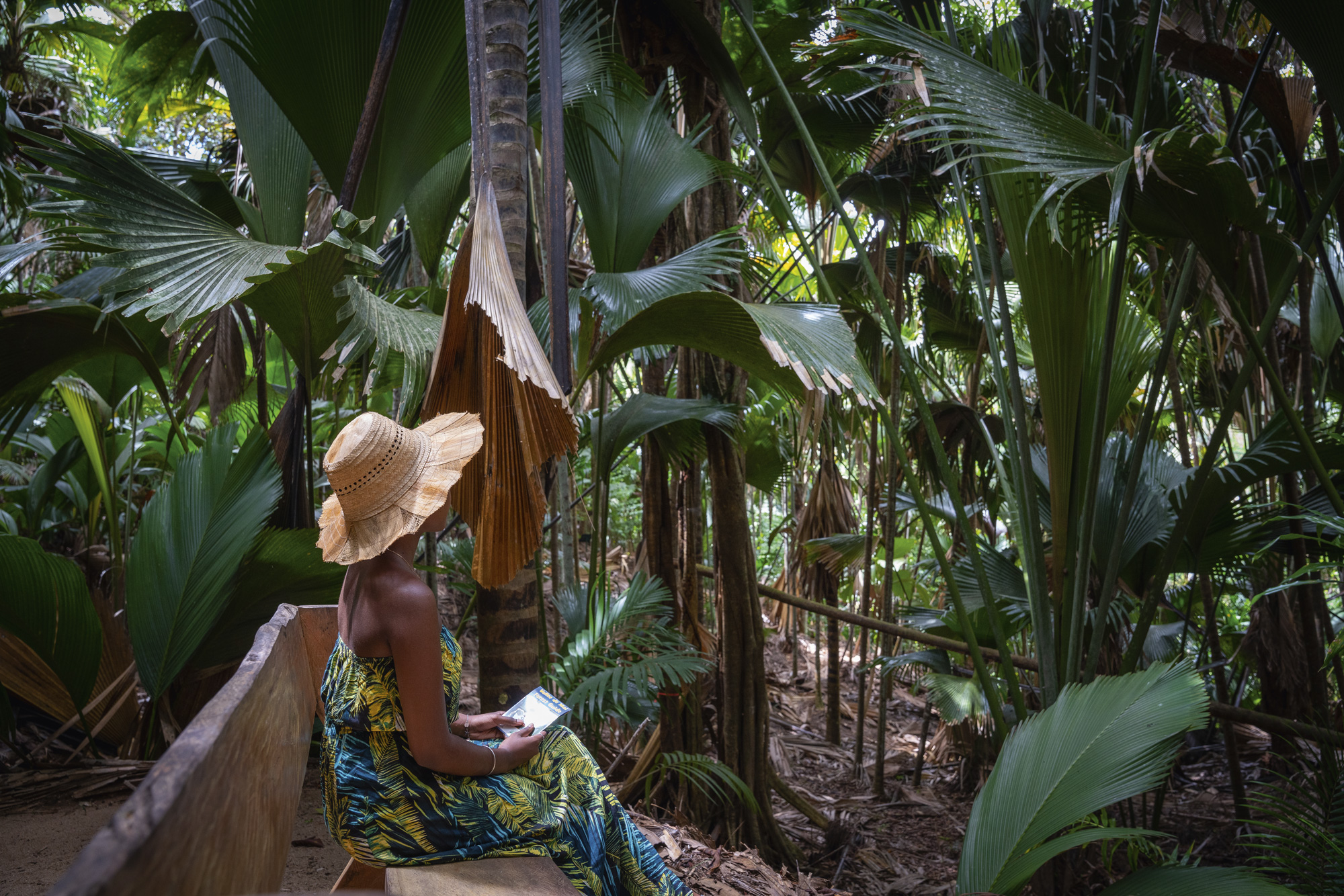 Explore the Hidden Gems of the Seychelles Islands | Travel | SPHERE ...