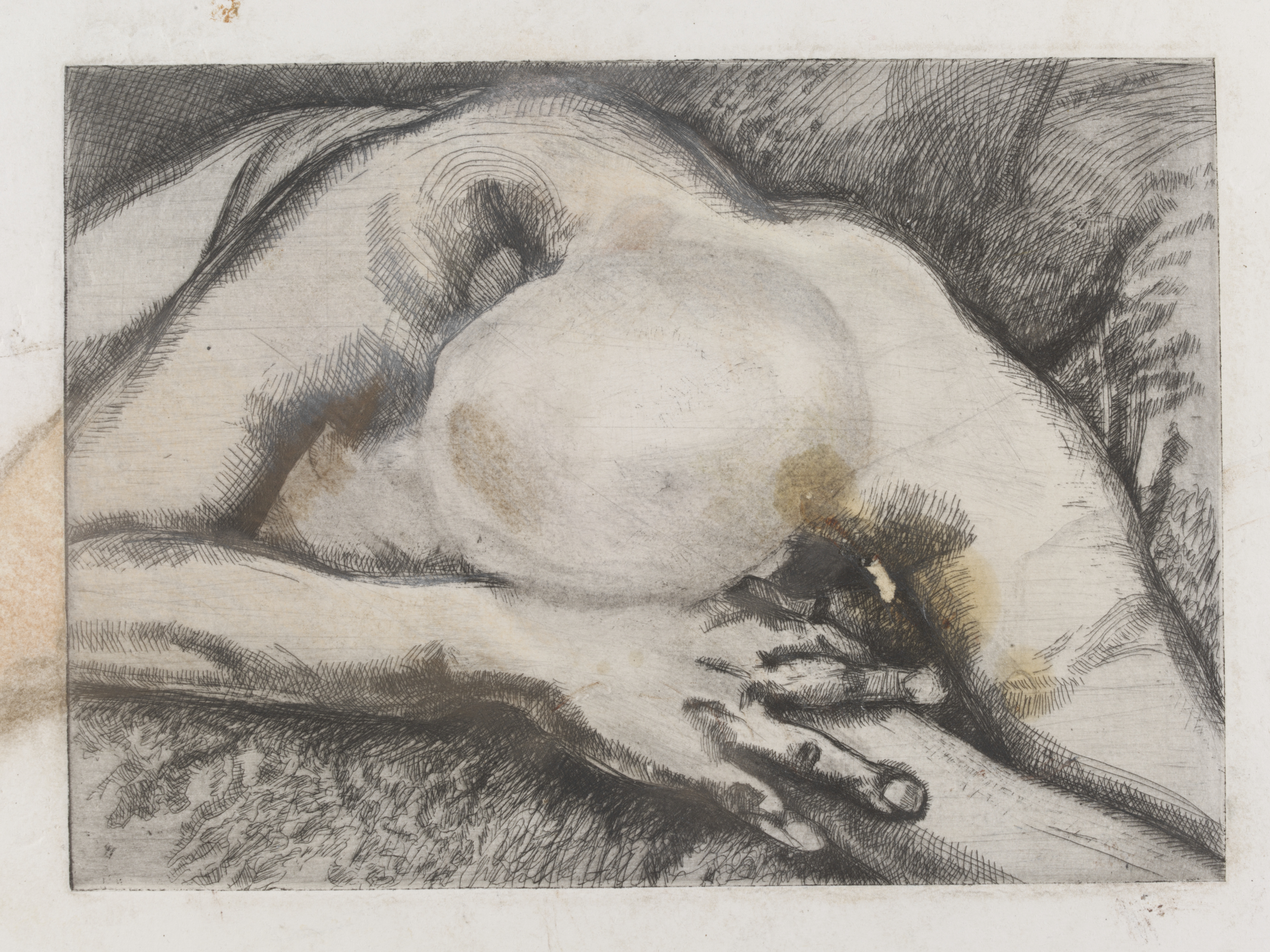 Lucian Freud's Etchings V&A -reclining figure