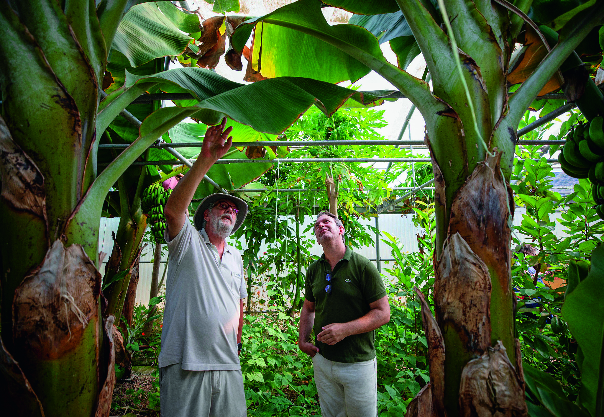 Silversea Silver Ray - immersing in the greenery