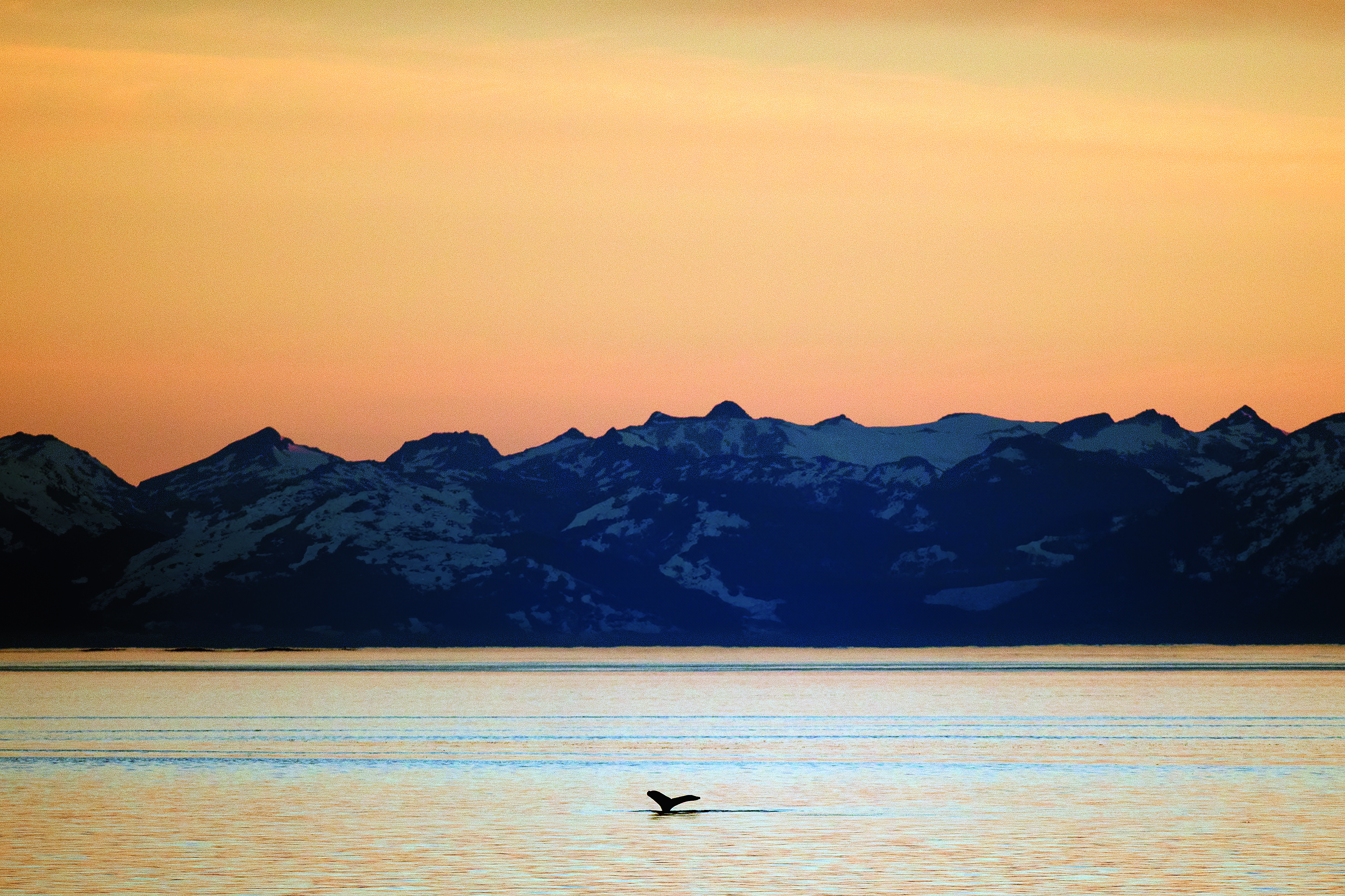 Silversea Silver Ray -Alaska sunset