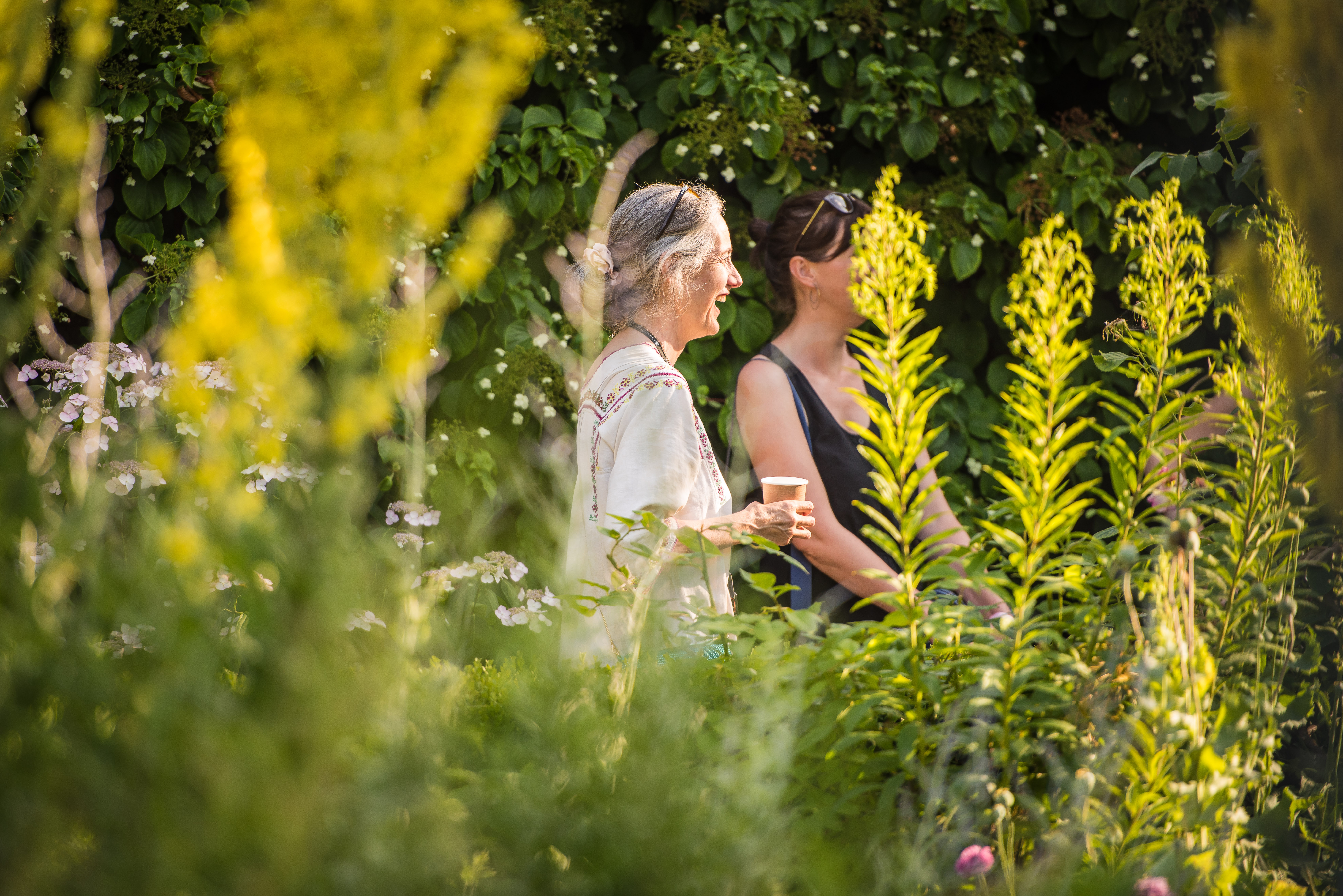 Literary Festival - Idler Festival