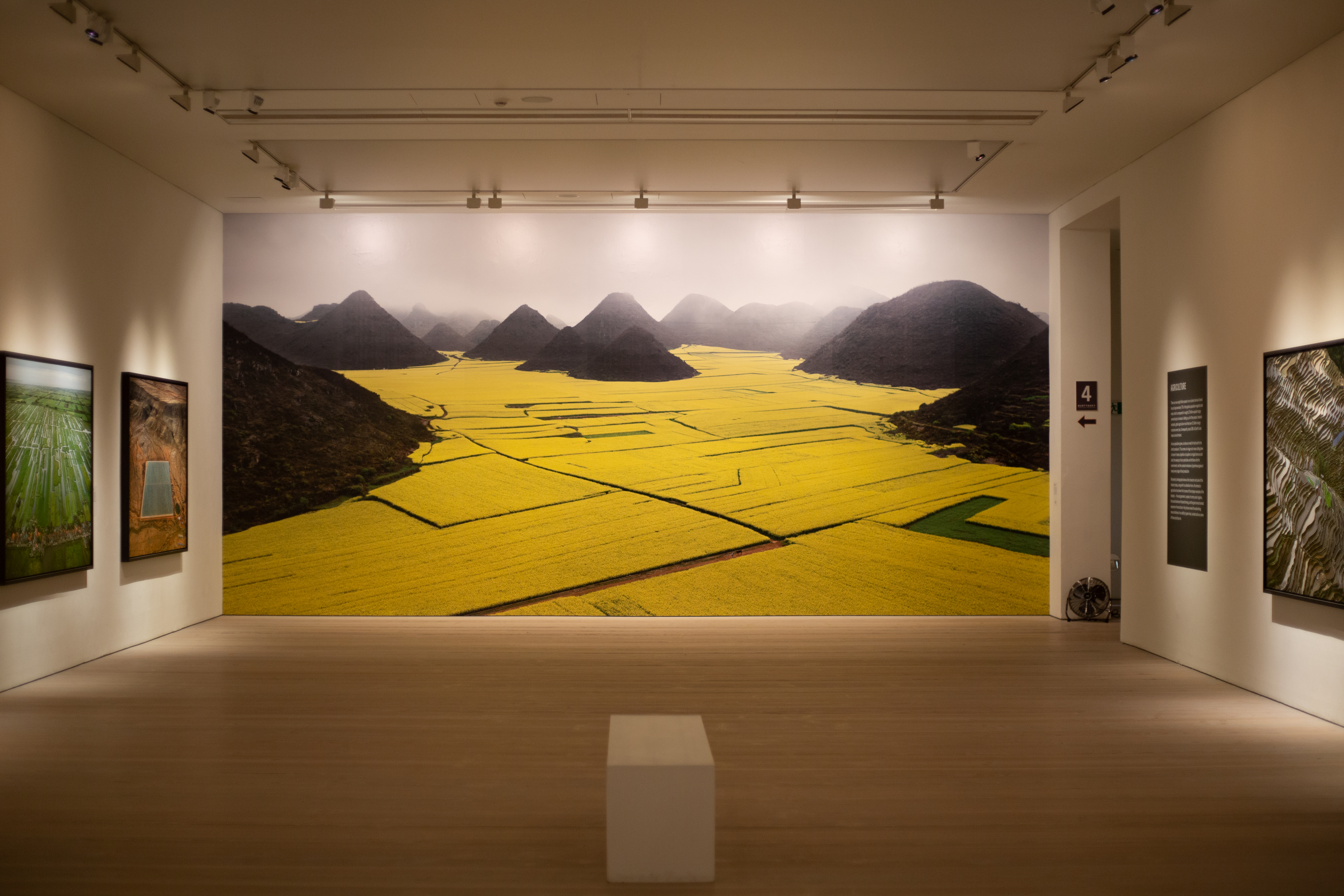 Telmont Rèserve de la Terre - Artwork of yellow fields