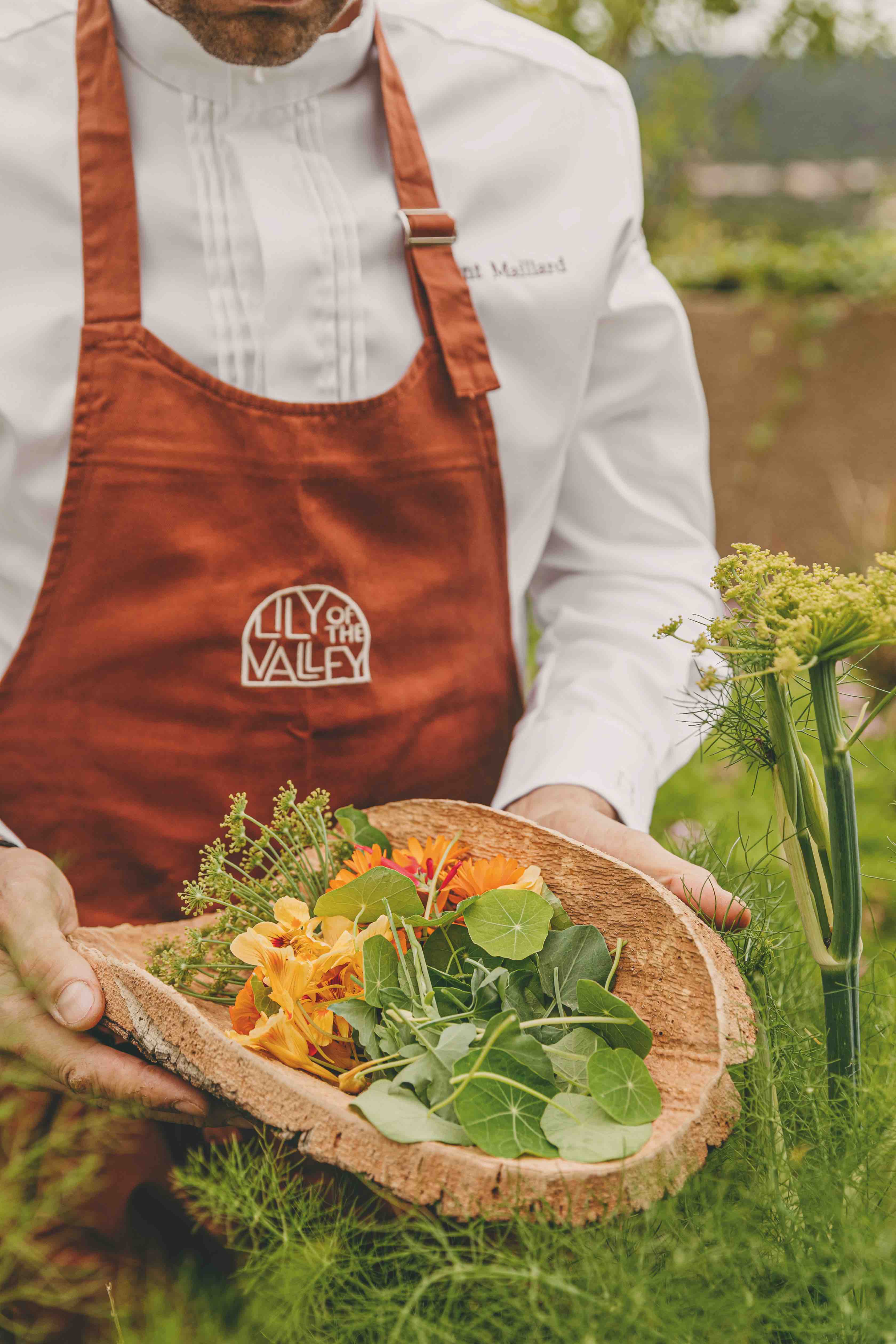 High-altitude destinations - Lily of the Valley Hotel in France