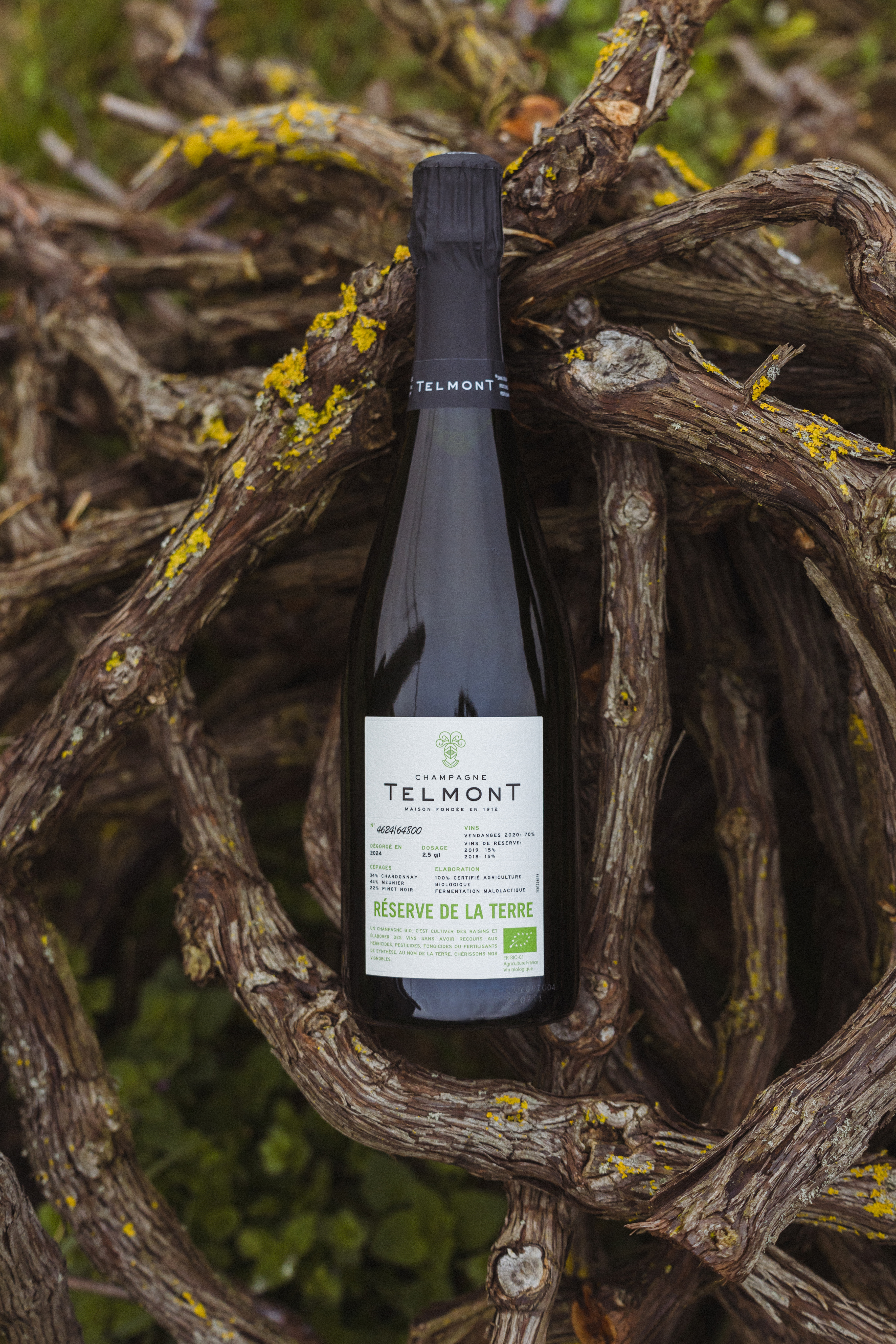 Telmont Rèserve de la Terre - organic cuvée