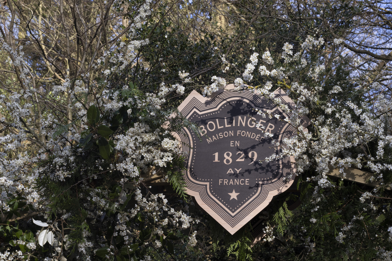 Bollinger La Grande Annee 2015 - Bollinger logo