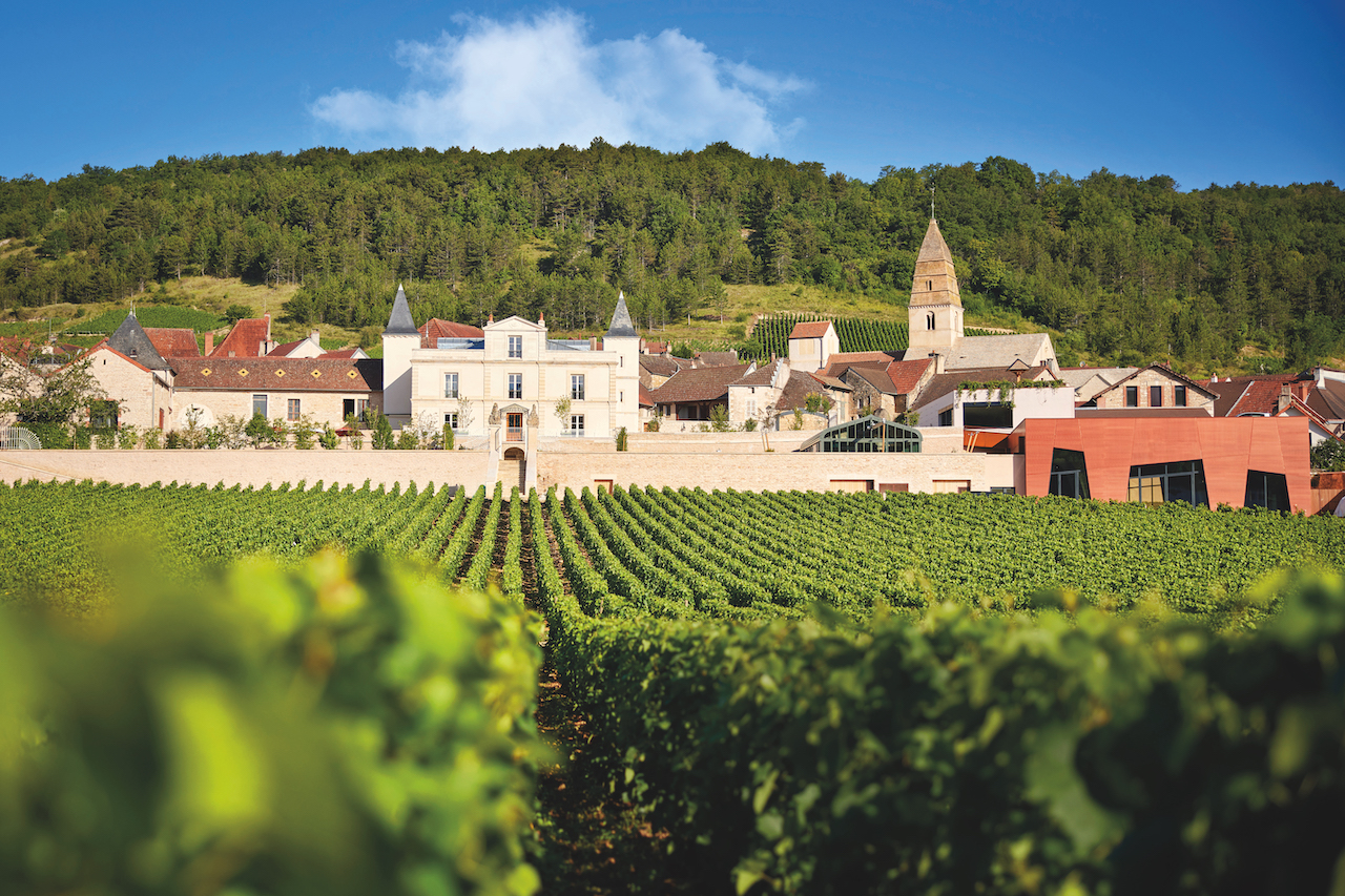 best burgundy wines - Château de Saint Aubin