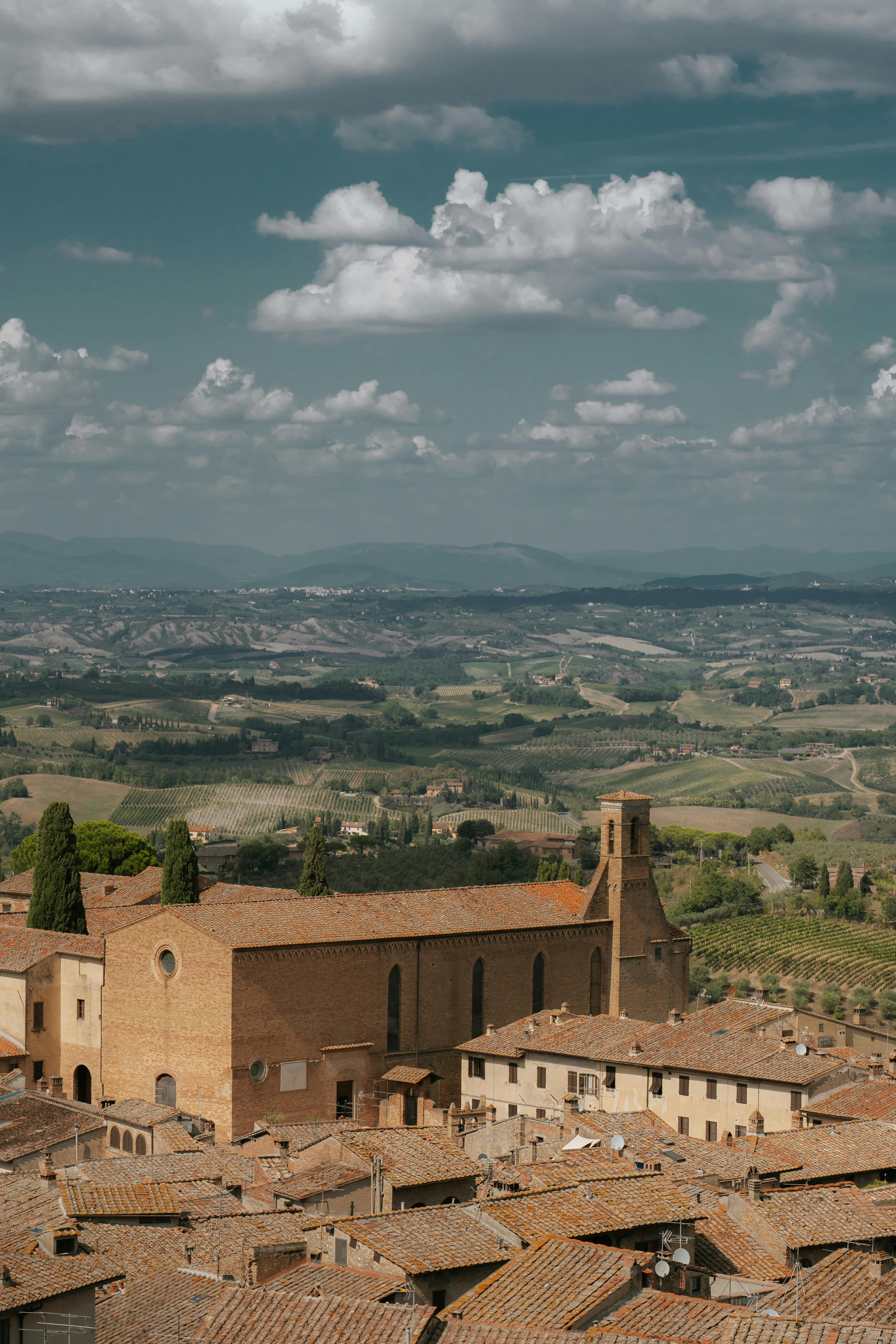 Truffle Hunting in Europe -Tuscany