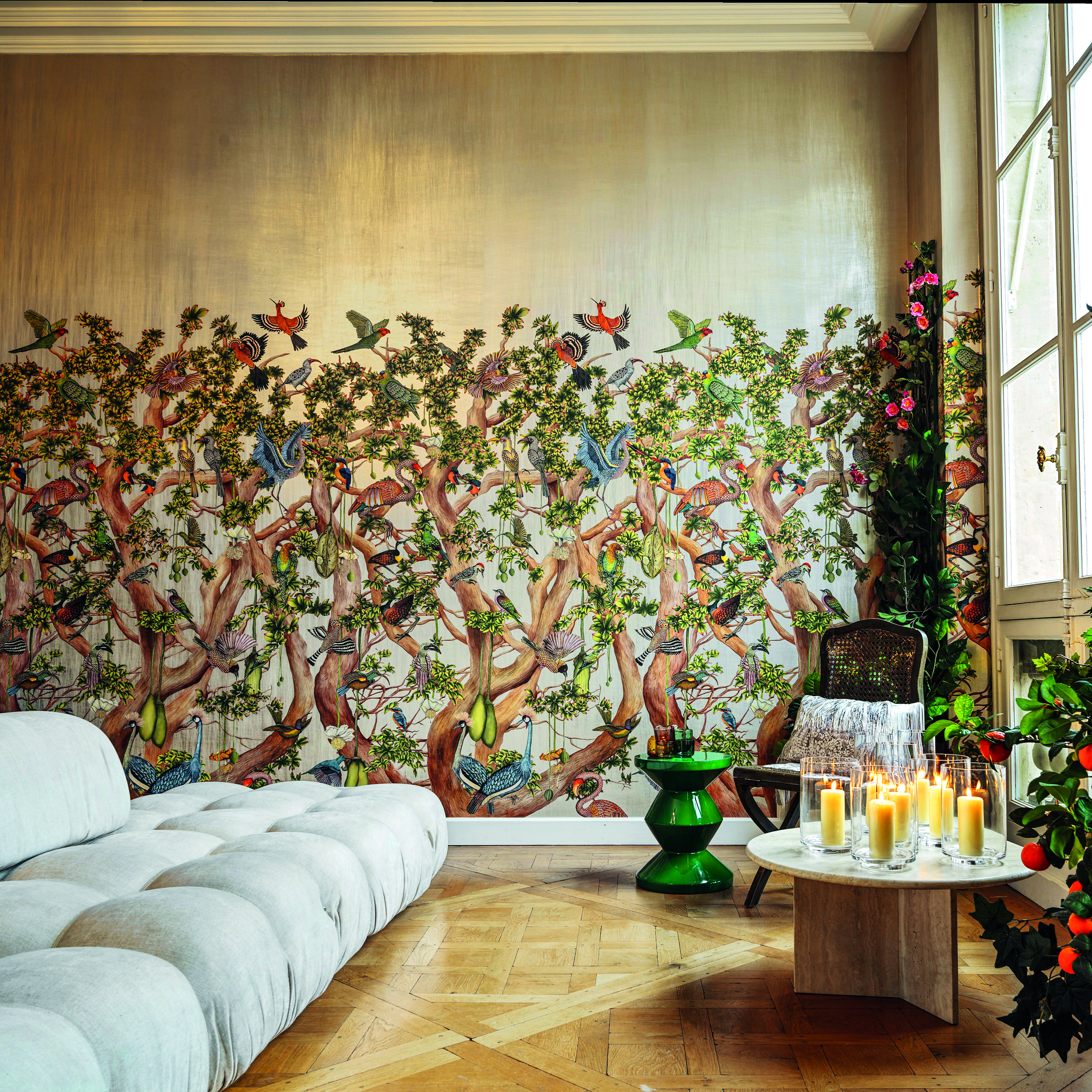 150 Years Cole Son Wallpaper - A plush sofa in front of Cole & Son's Baobab Tree wallpaper.