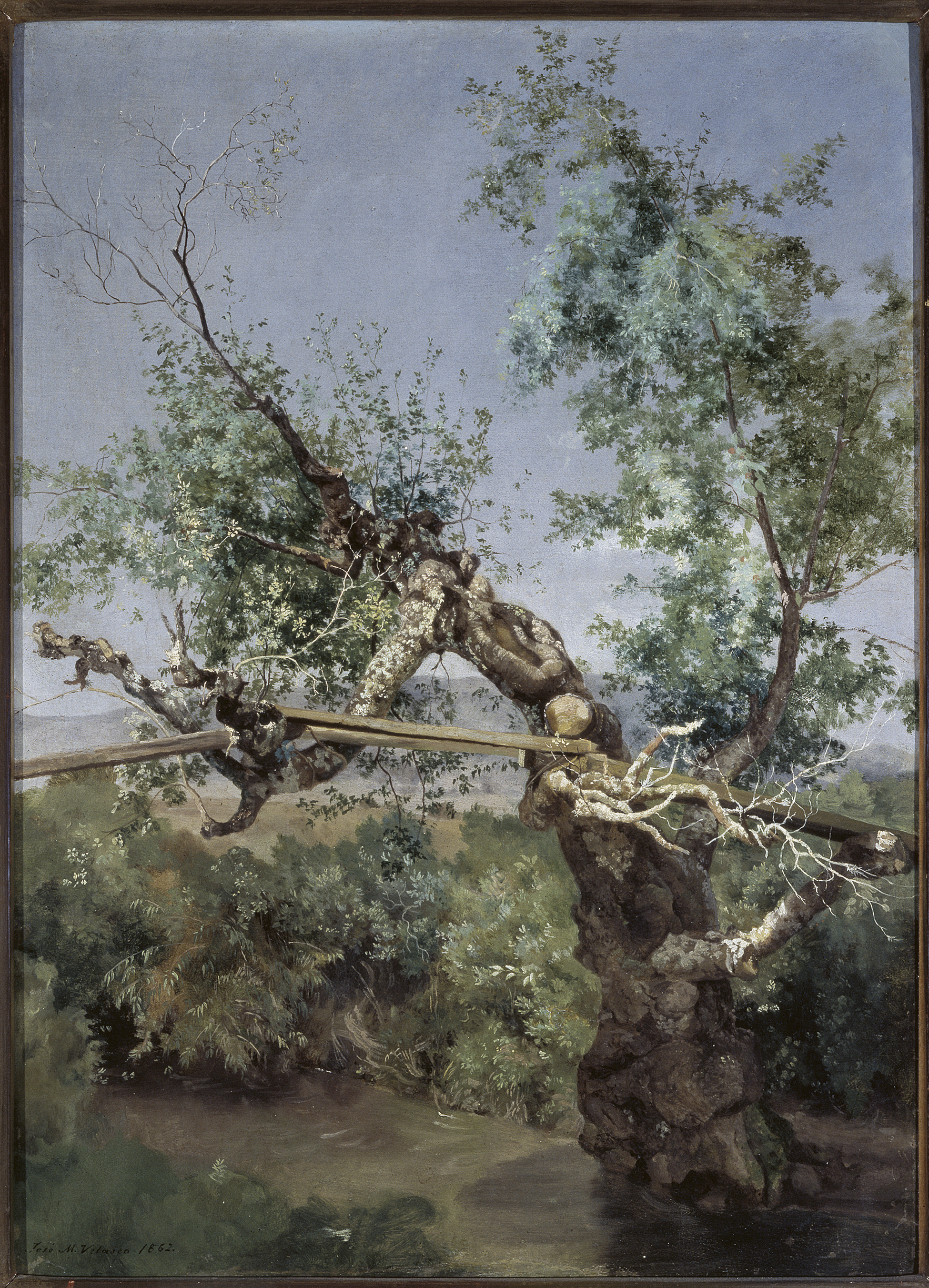 A Rustic Bridge in San Ángel by José María Velasco displayed at The National Gallery featuring am alder tree.