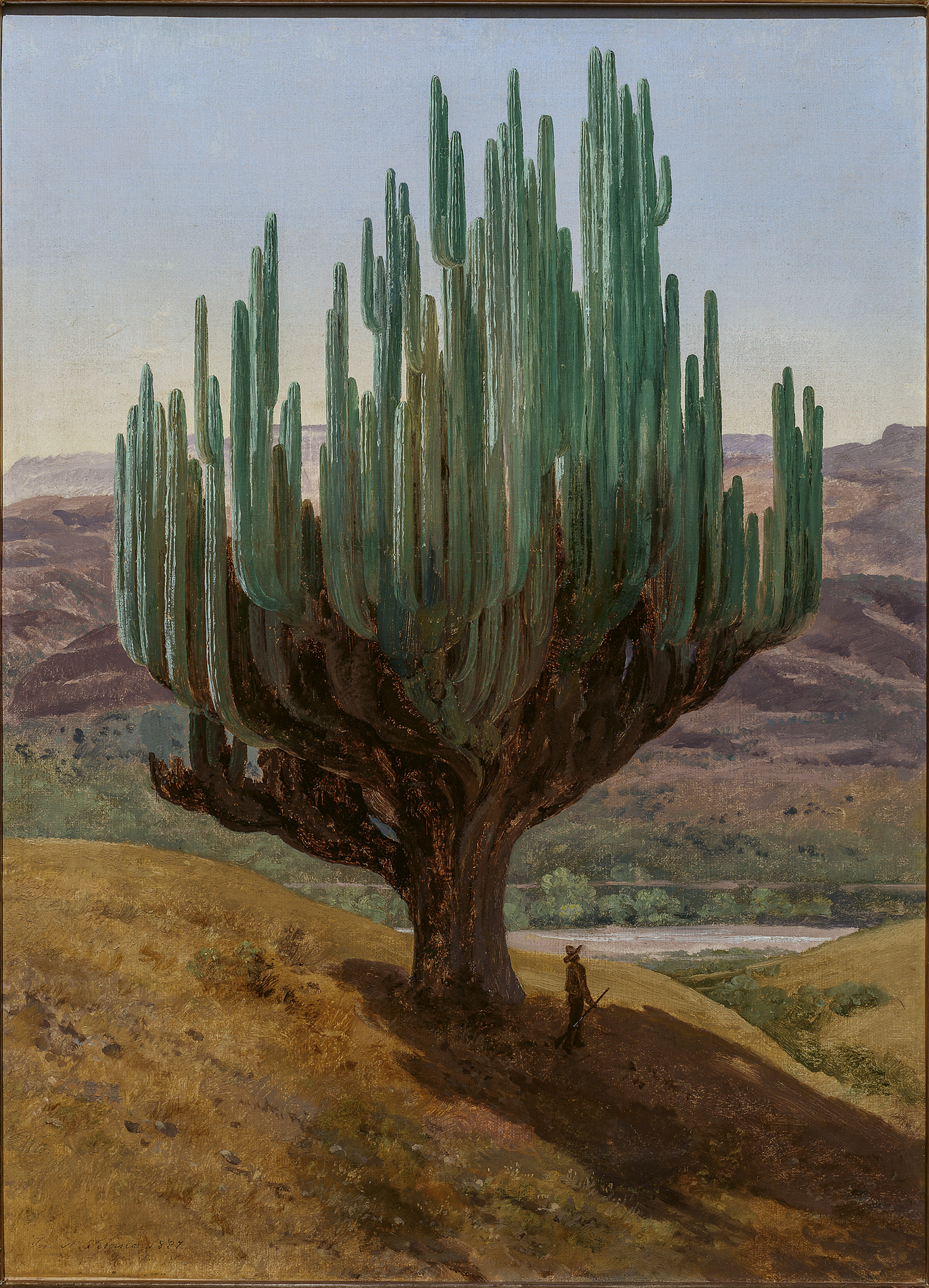 The painting Cardón, State of Oaxaca by José María Velasco displayed at The National Gallery featuring a large cardón cactus.