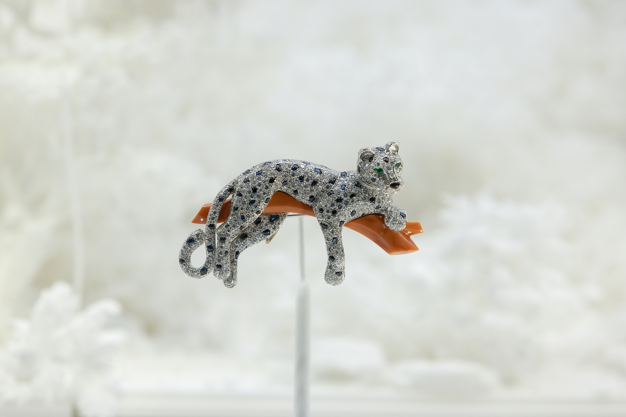 A Cartier brooch of a panther on a branch on display at the V&A against a white backdrop.
