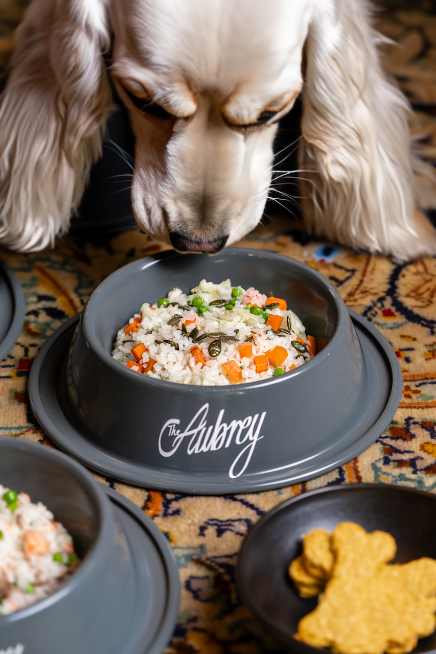 A spaneil eating a special dog dinner at The Aubrey at Mandarin Oriental.